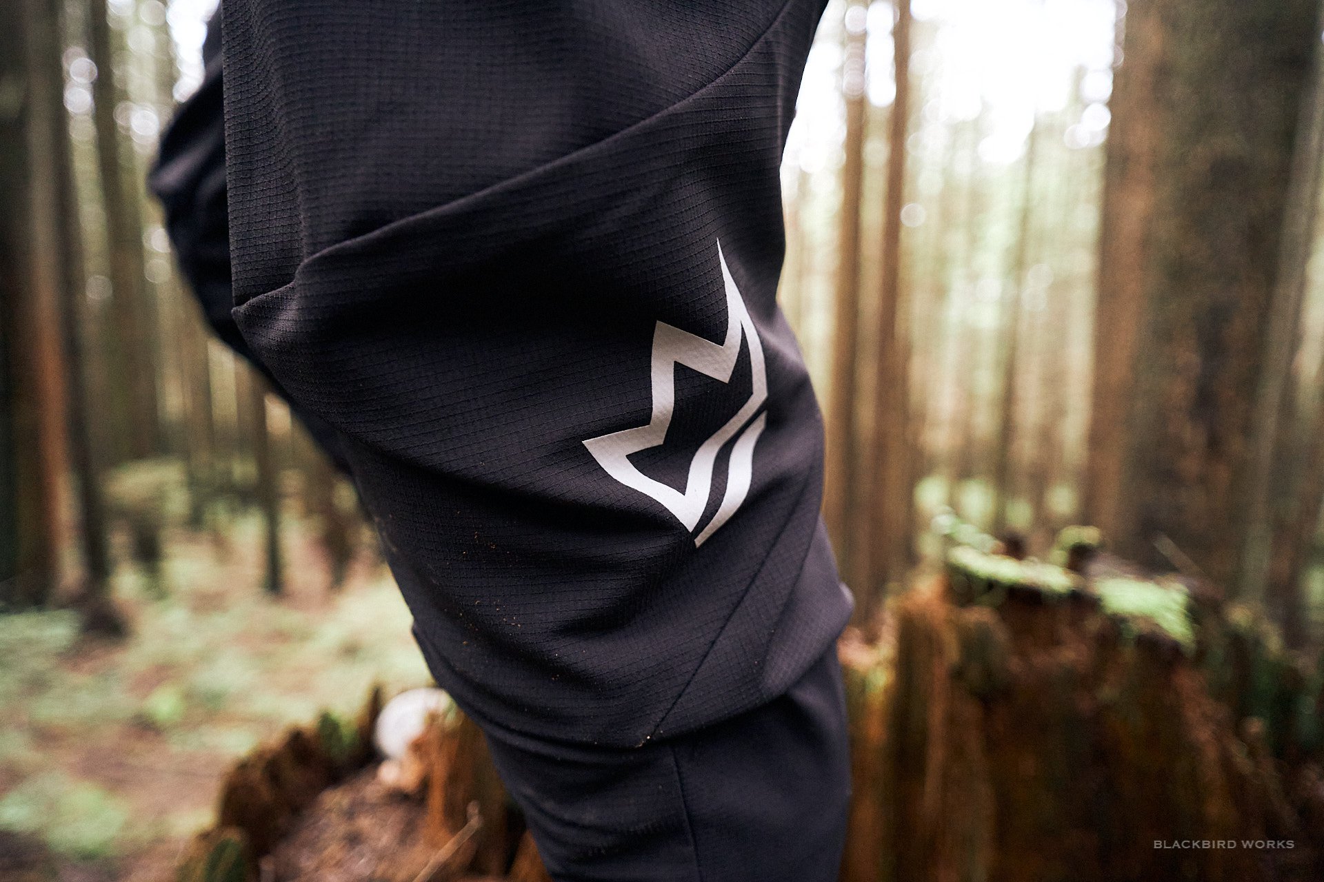 Royal Racing Apex Race Pants review