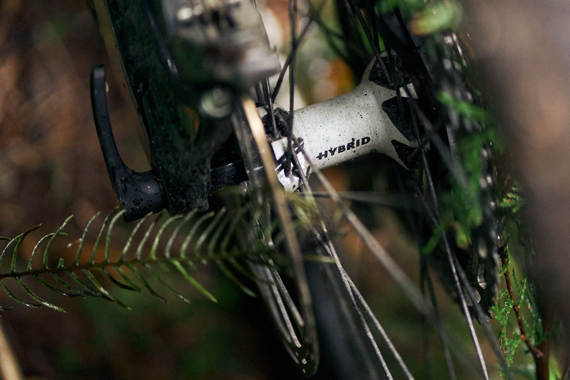 decoy emtb