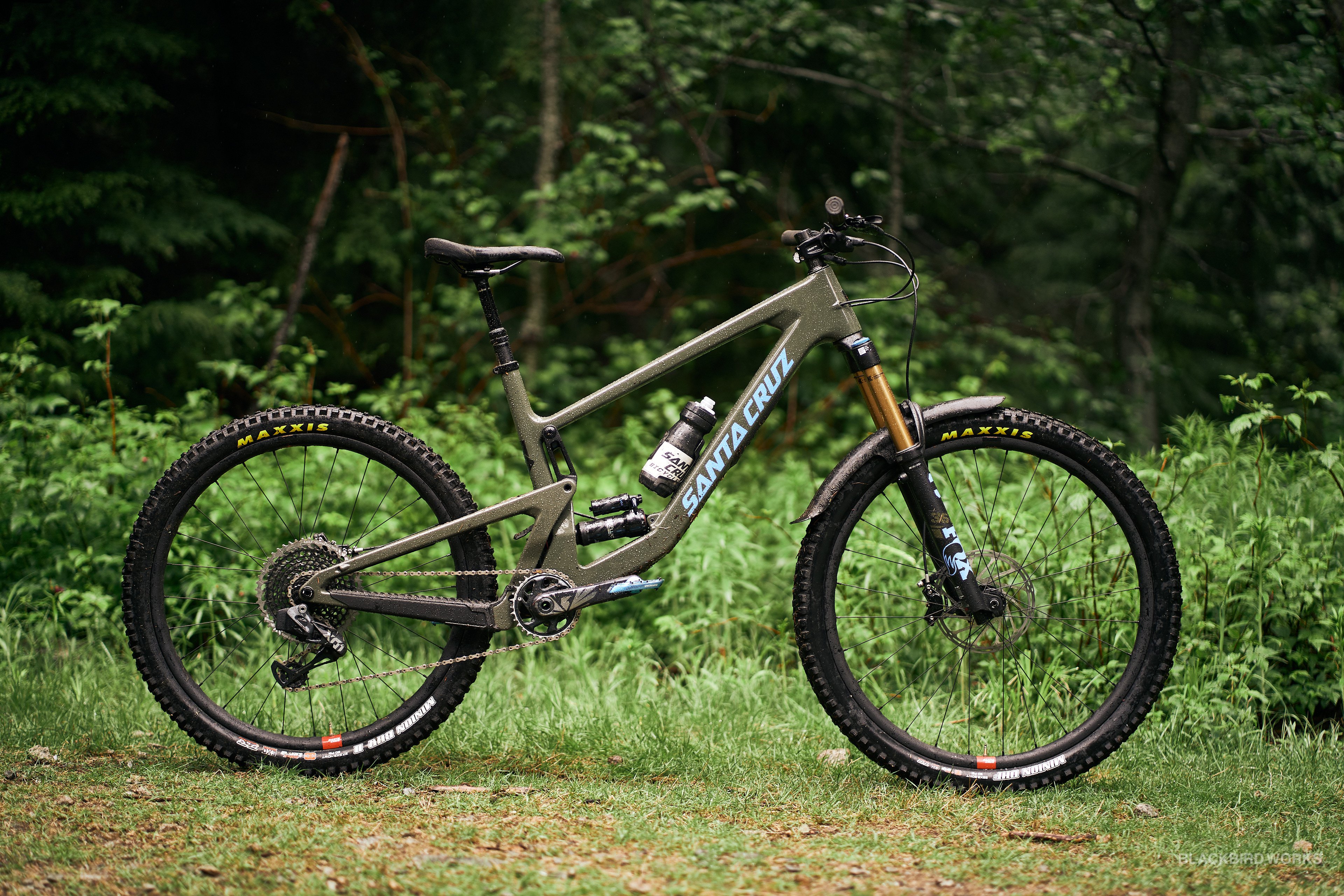 santa cruz bronson 2022