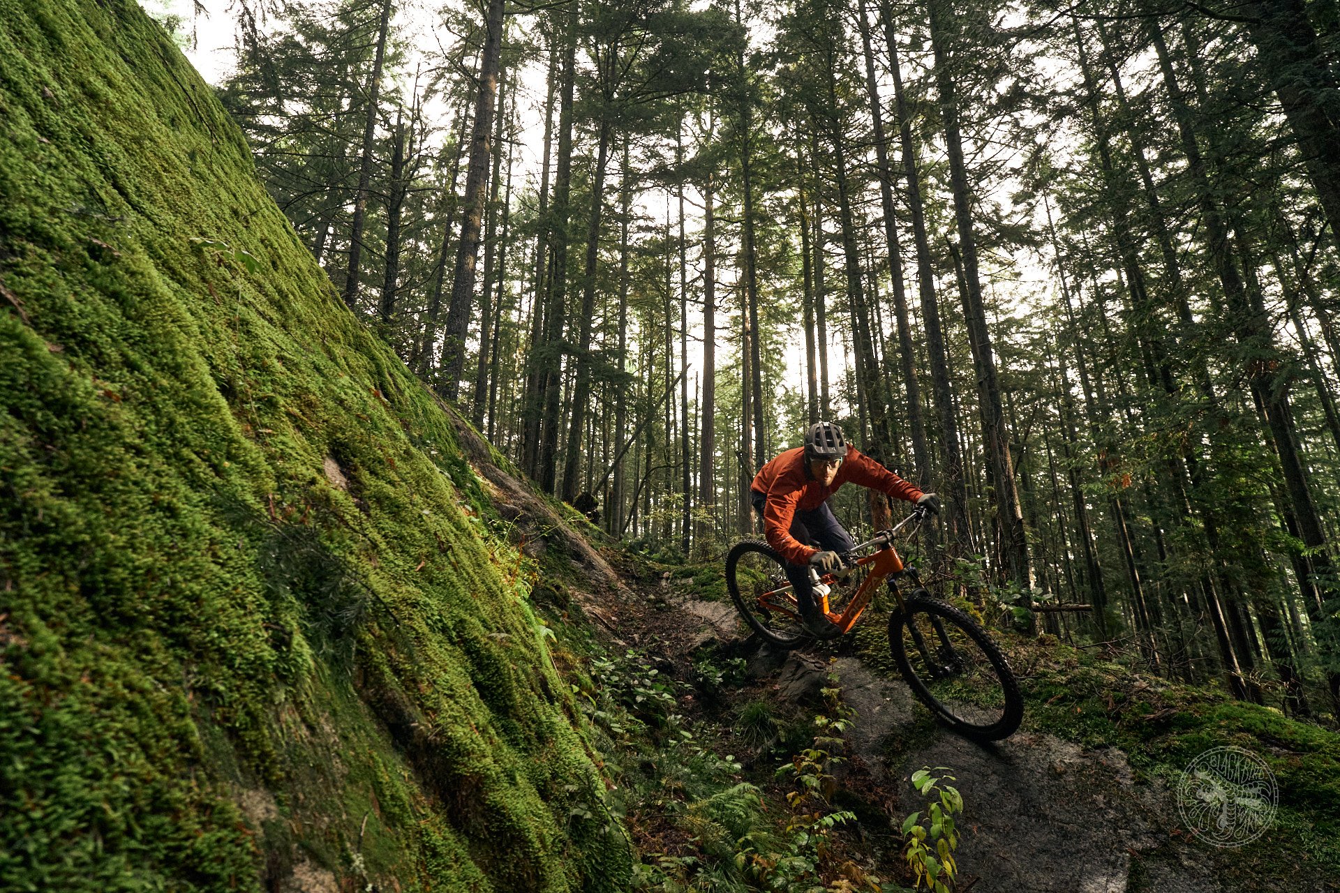 DSC06192-denizmerdano gully thailand orbea rise norrona