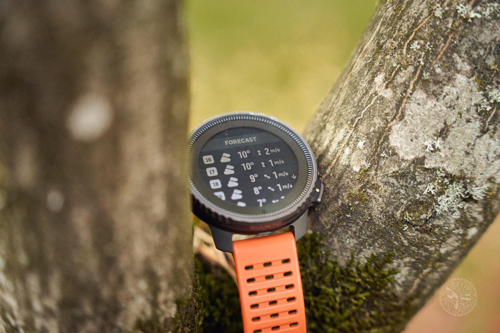 Suunto Vertical Reloj Smartwatch Titanium Solar Forest