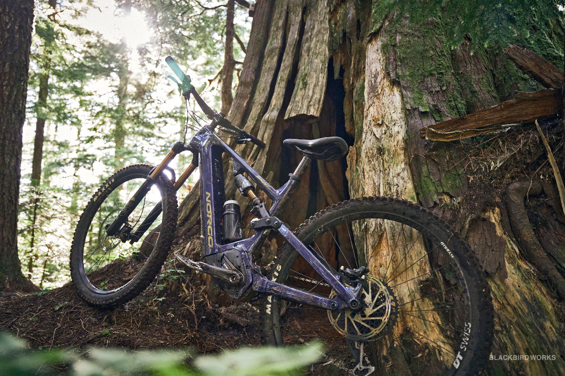 DSC06756-denizmerdano-norco-emtb-range-sight-ca.original_aISCBg3.jpg