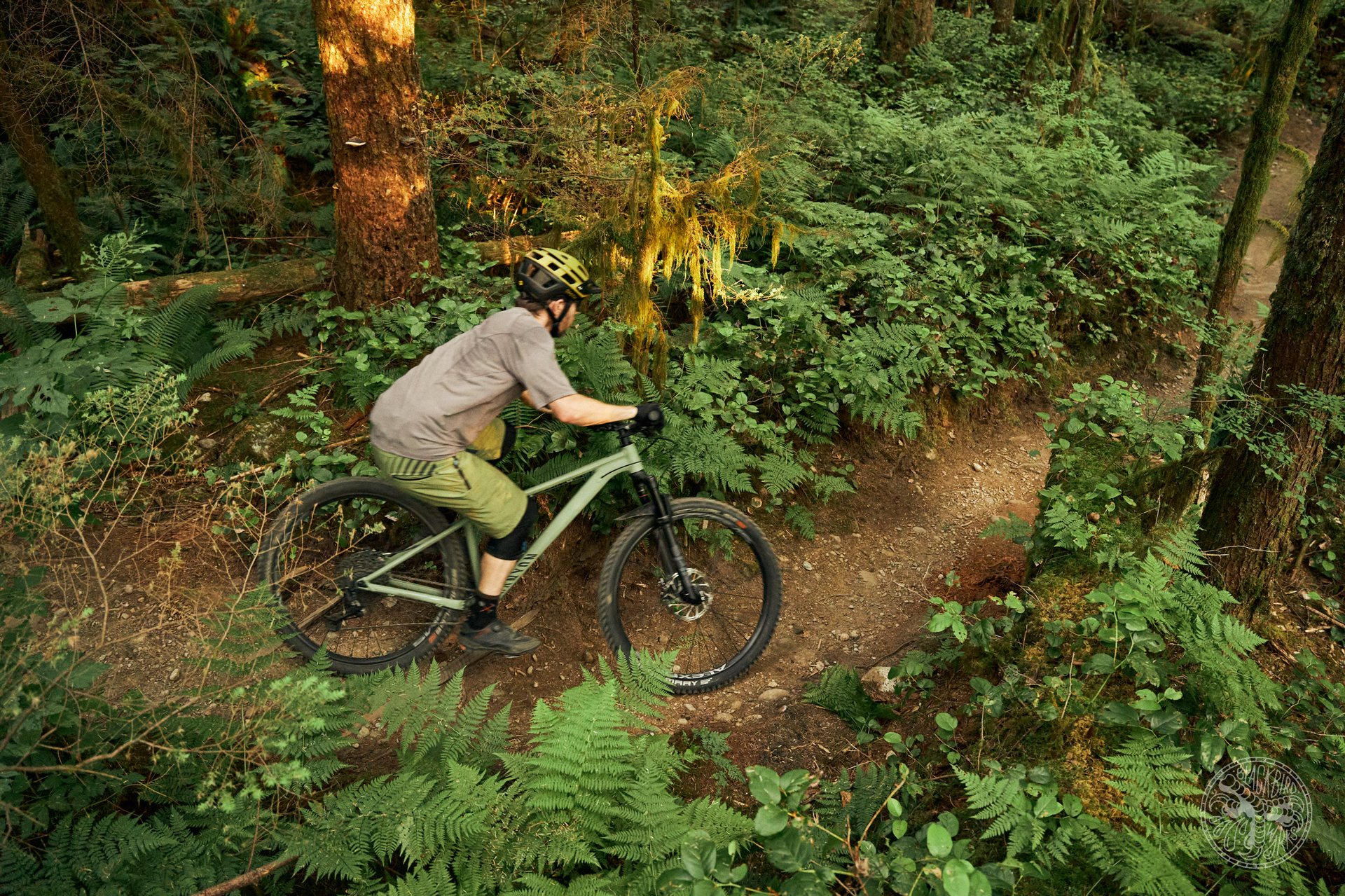 DSC07215-denizmerdano-cooper-stoic-blackbirdworks.jpg