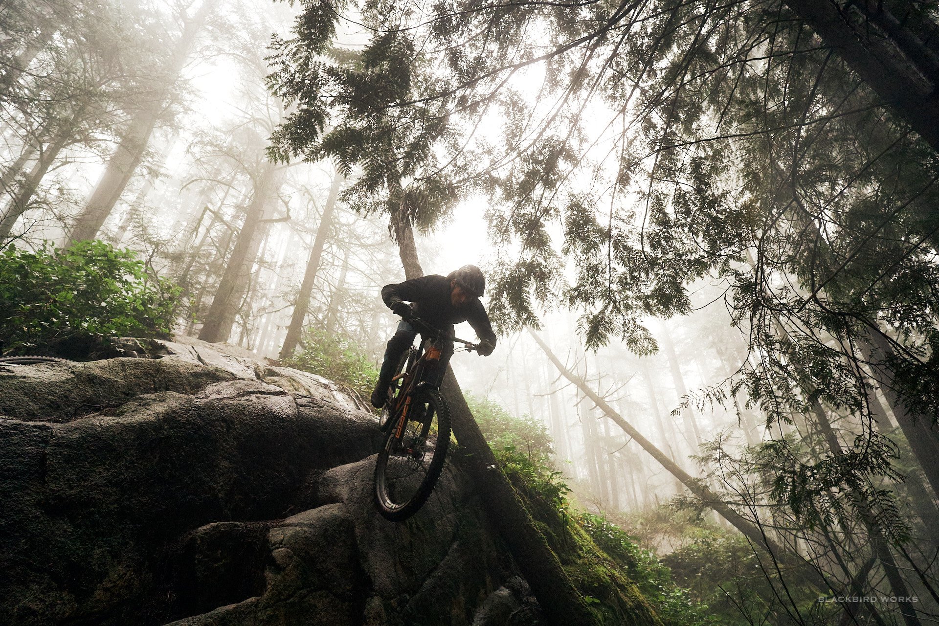 DSC07808_denizmerdano-denizmerdano-blackbirdworks-slash.jpg