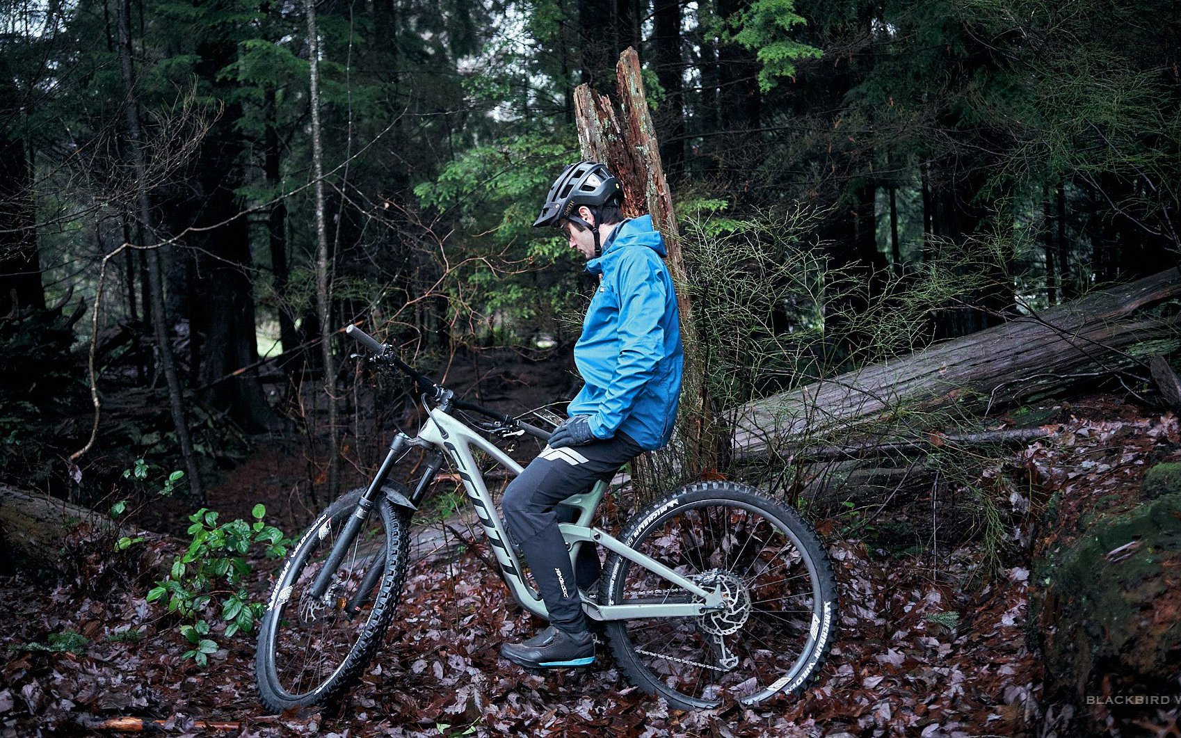 patagonia biking jacket