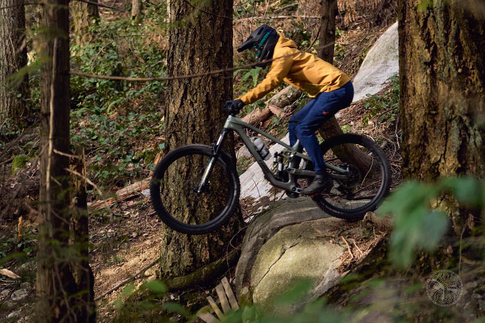 DSC08672 cooper quinn trek slash