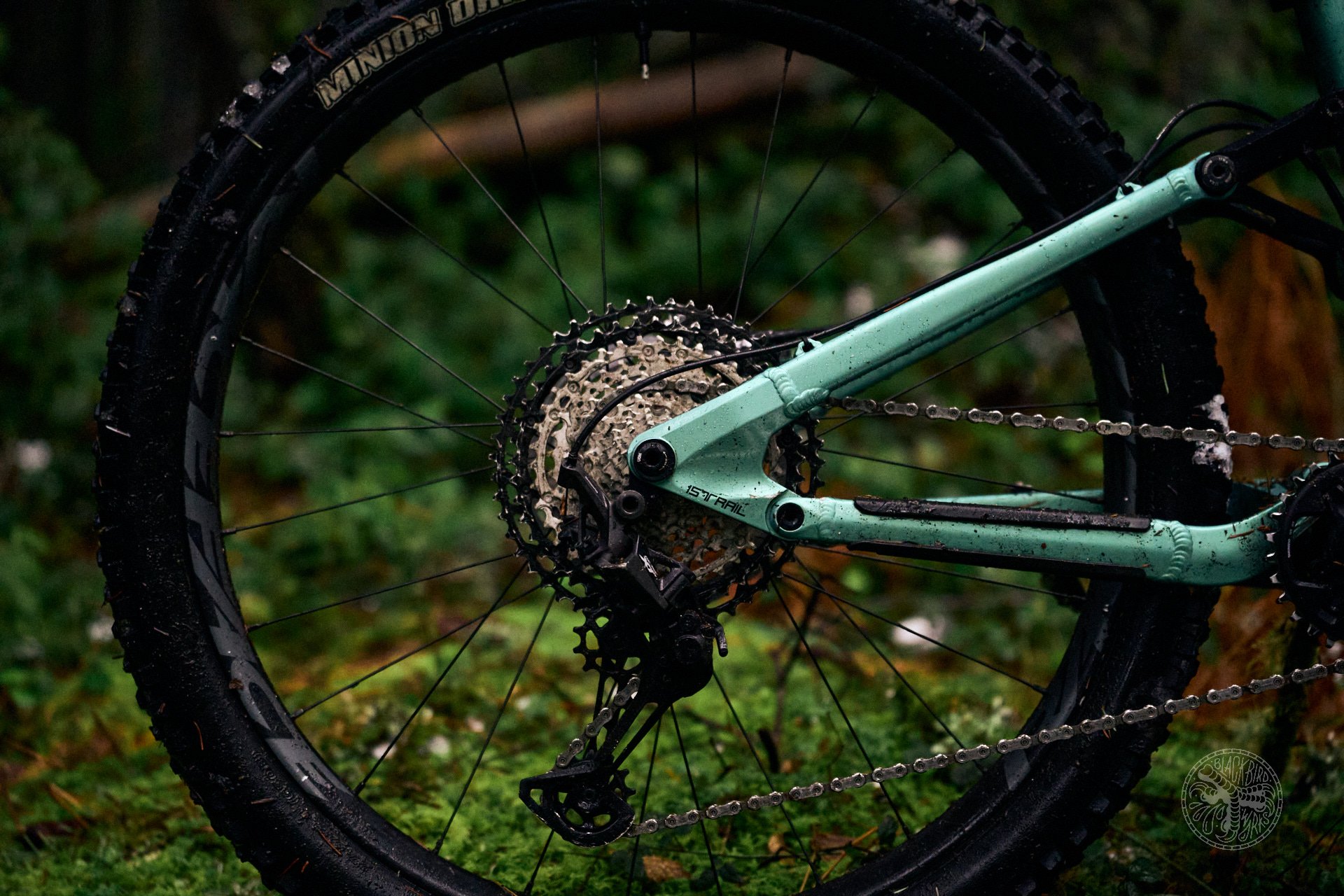 Knolly Endorphin MX29