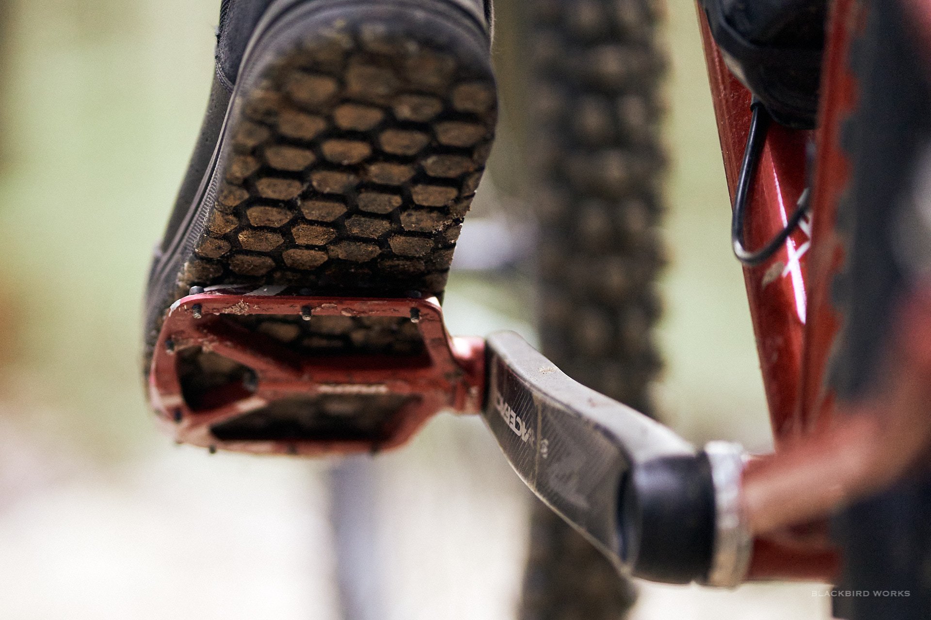 DSC09303-denizmerdano-2fo-specialized-flatpedal-wahwah.jpg