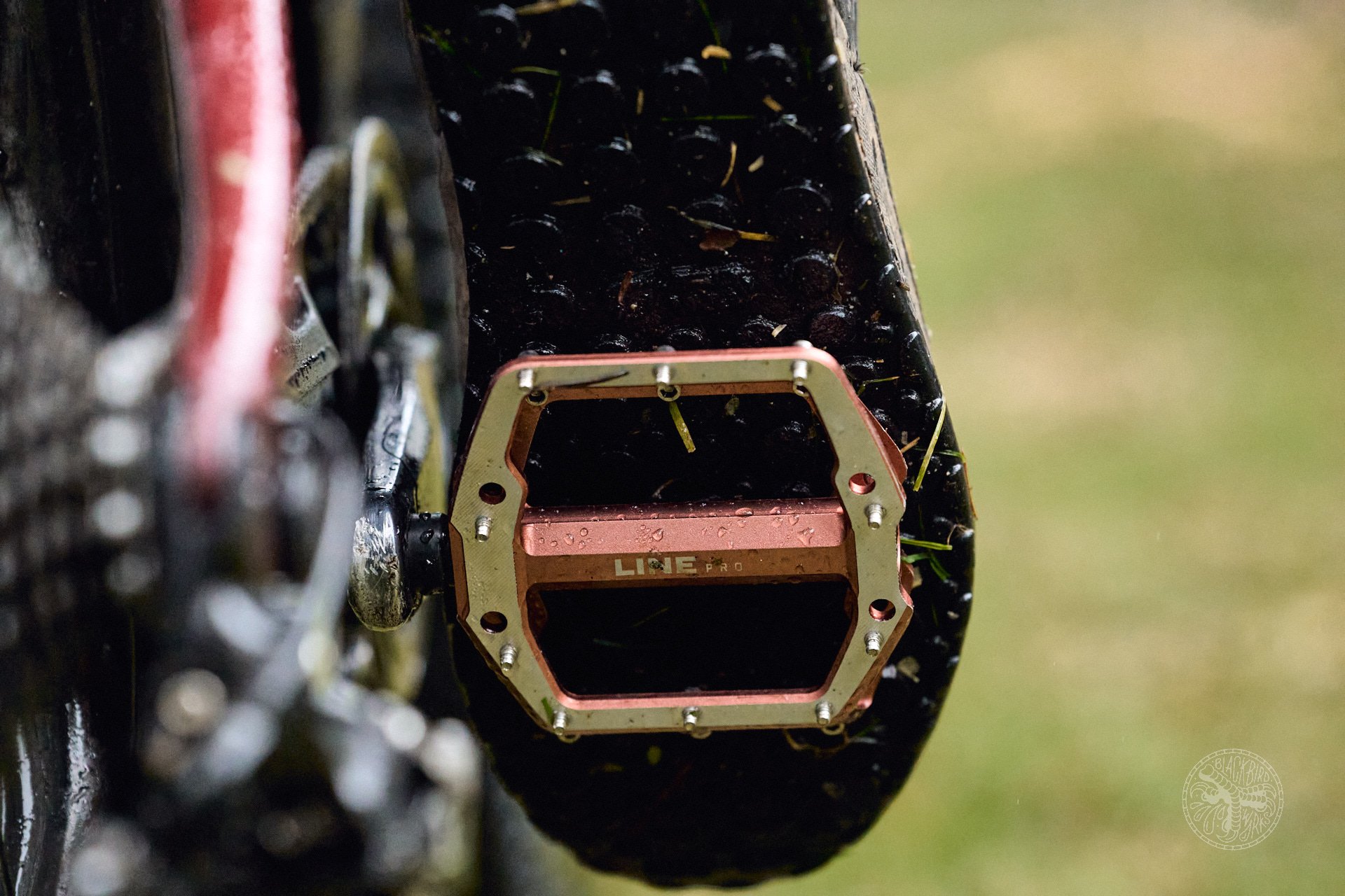 Bontrager line pro pedals review sale