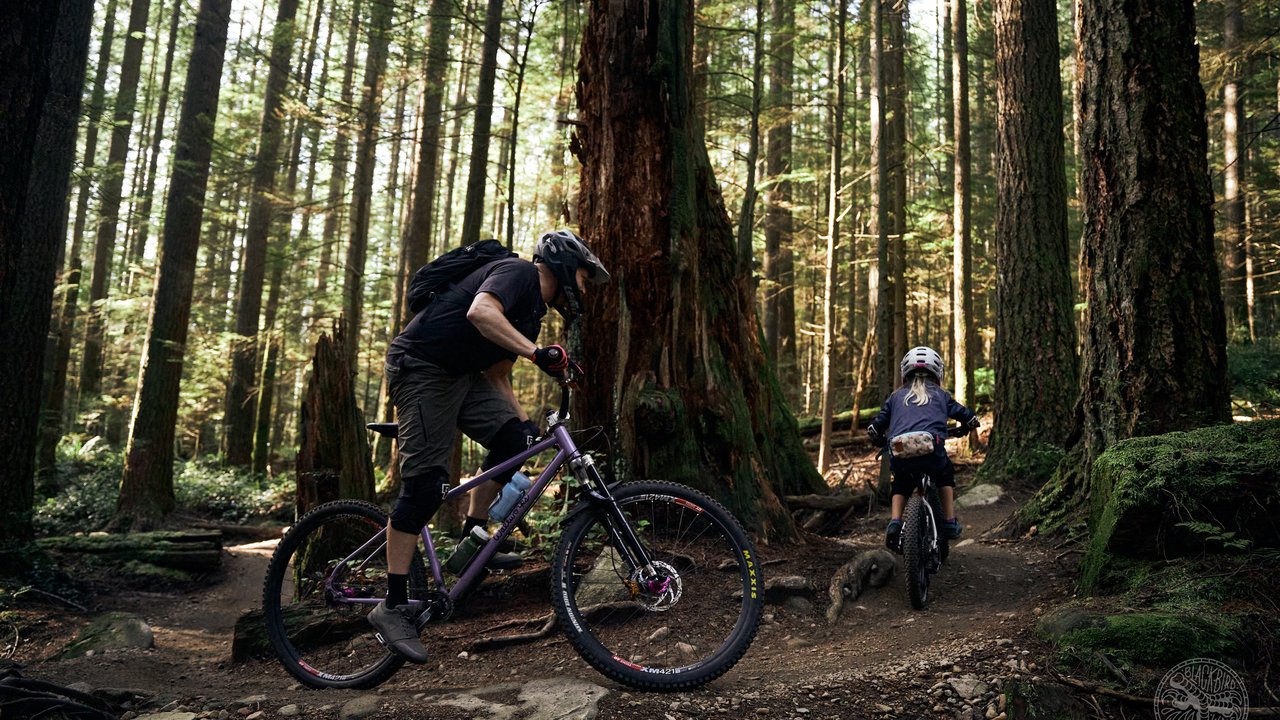 Bank Socks — Chromag Bikes — Mountain bike performance socks