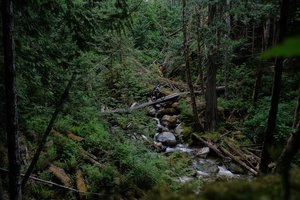 DSCF0220 - Edit.jpg