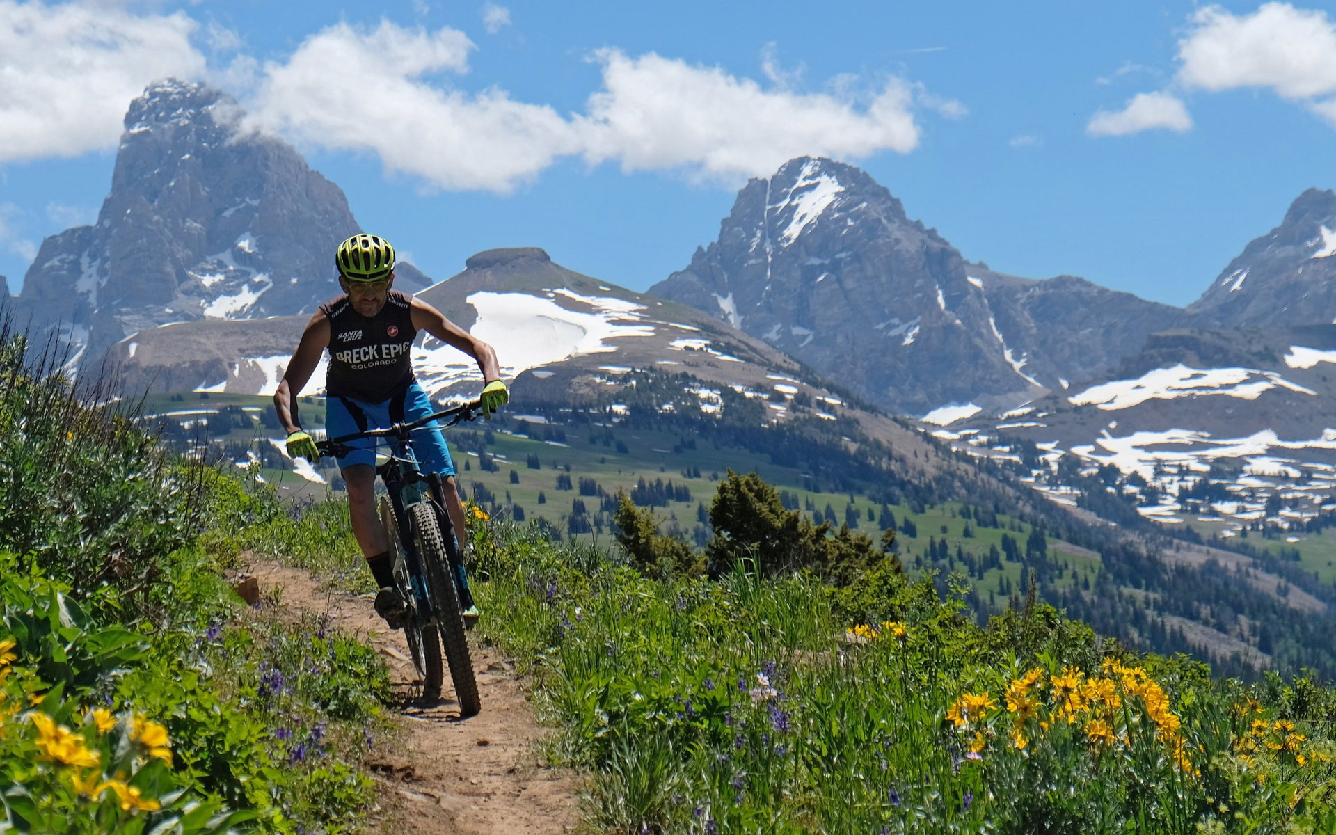 Grand outlet targhee mtb