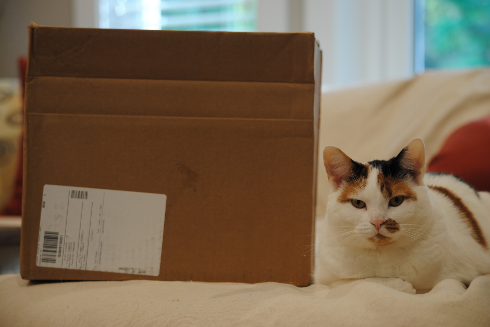 MW702 box