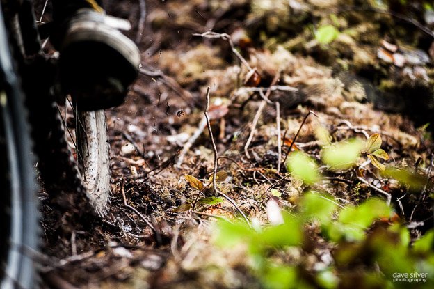 Cumberland: Vancouver Island loam