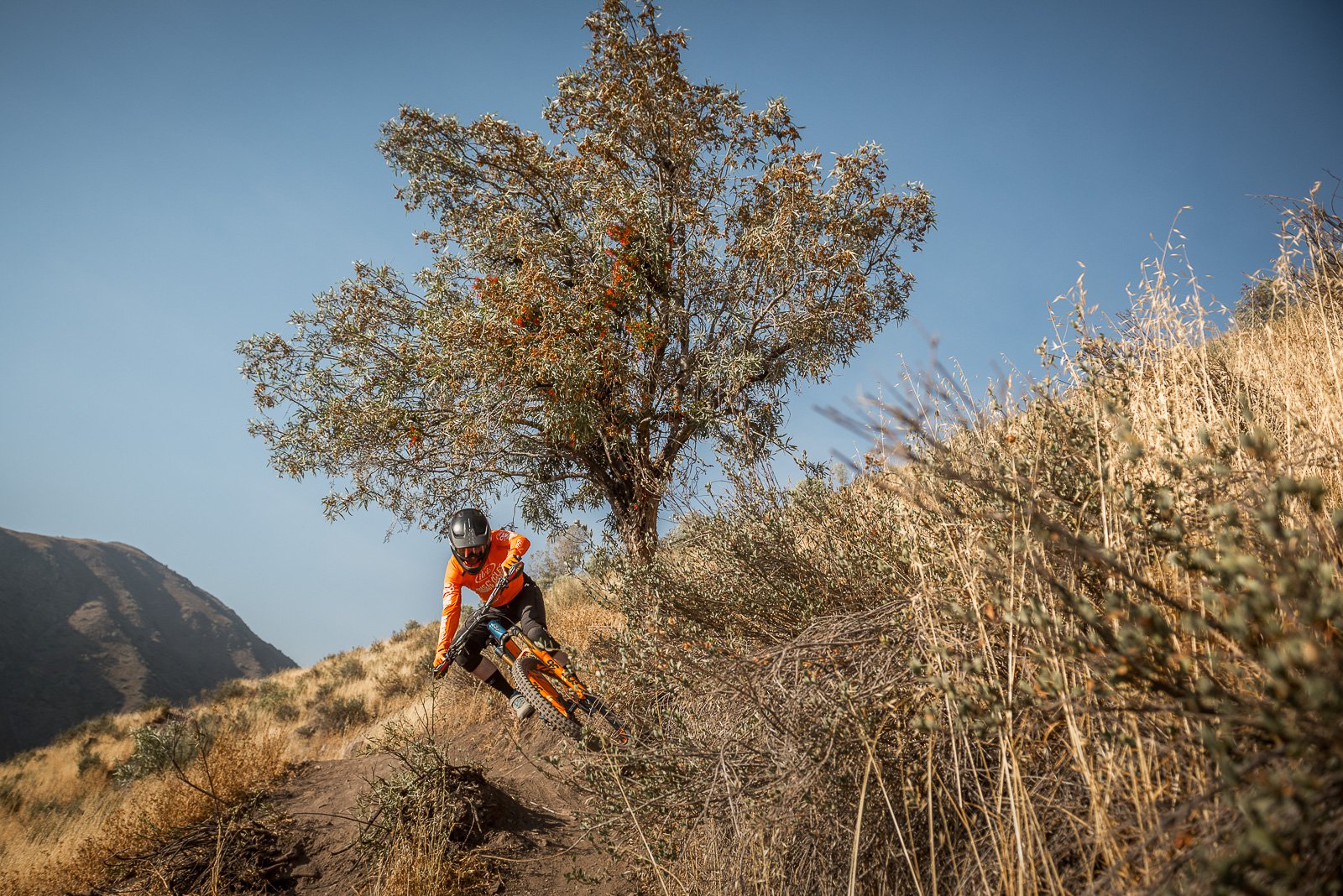 Ibis Ripmo in Chile - Dave Trumpore Photo