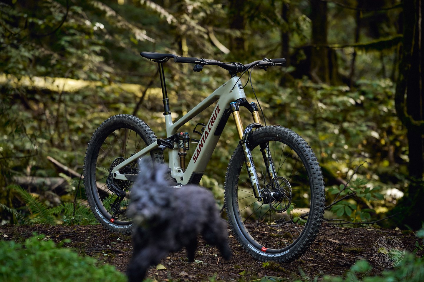 2025 Santa Cruz Vala eMTB