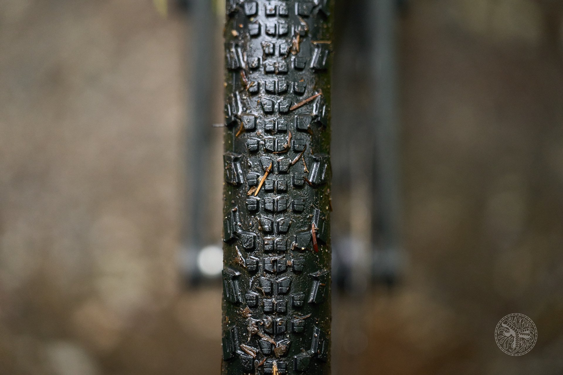 Deniz merdano cooper quinn maxxis gravel tires 5