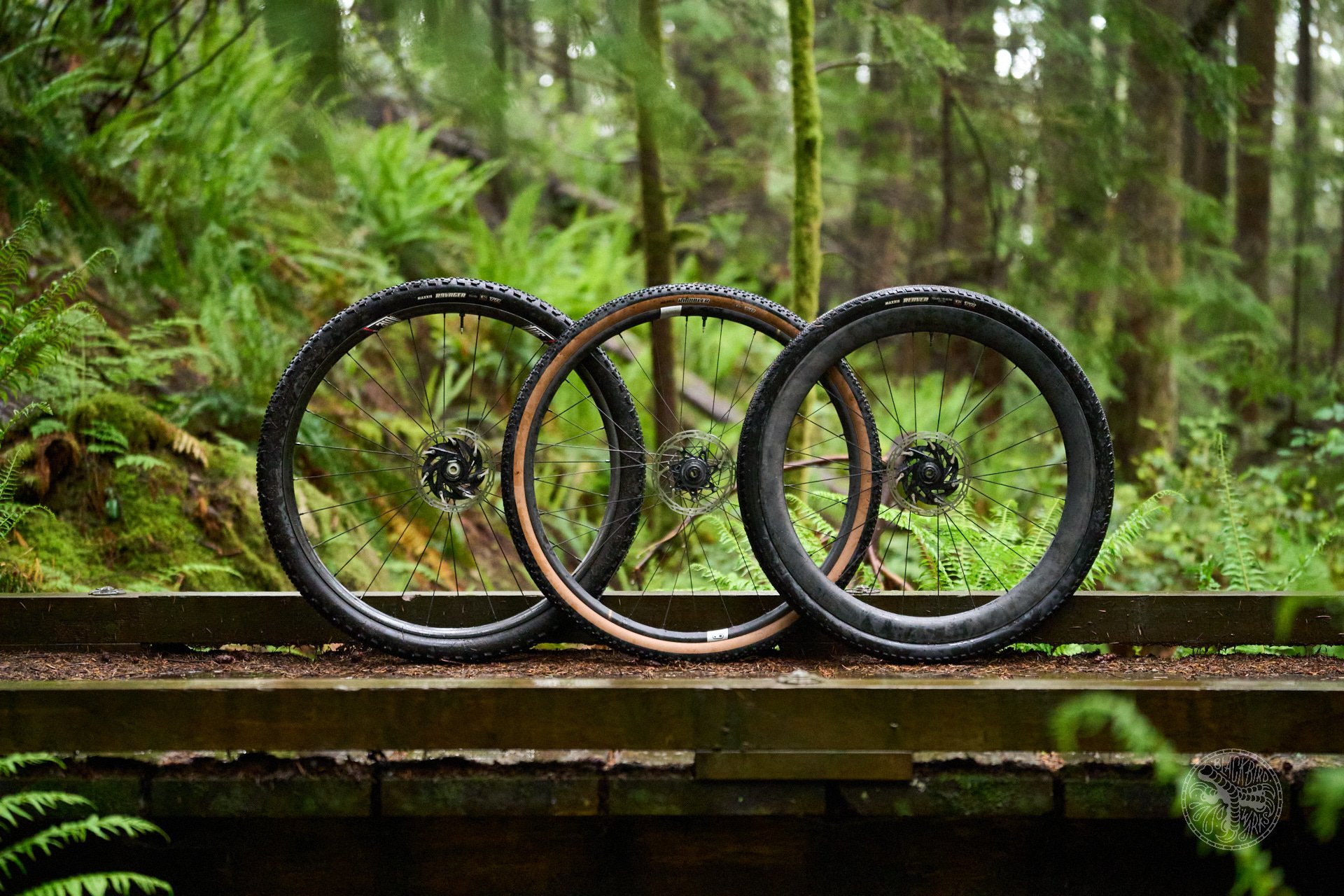 Deniz merdano cooper quinn maxxis gravel tires 33