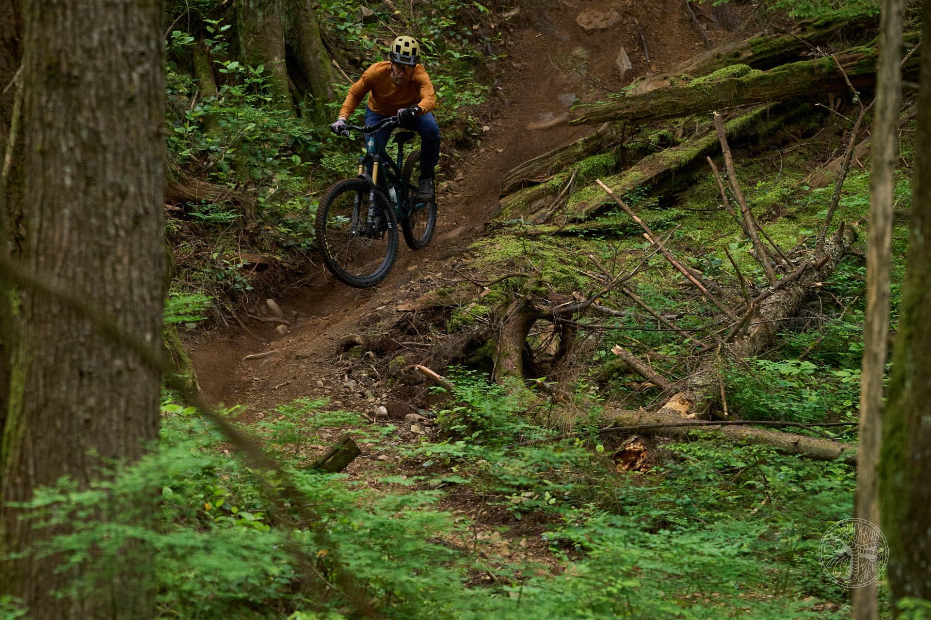 Deniz merdano cooper yeti sb165 10