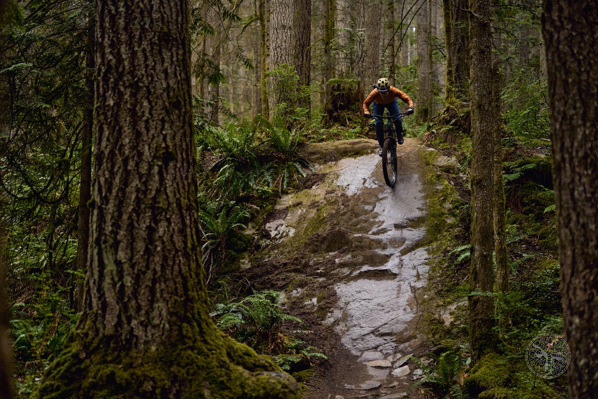 Deniz merdano cooper yeti sb165 21