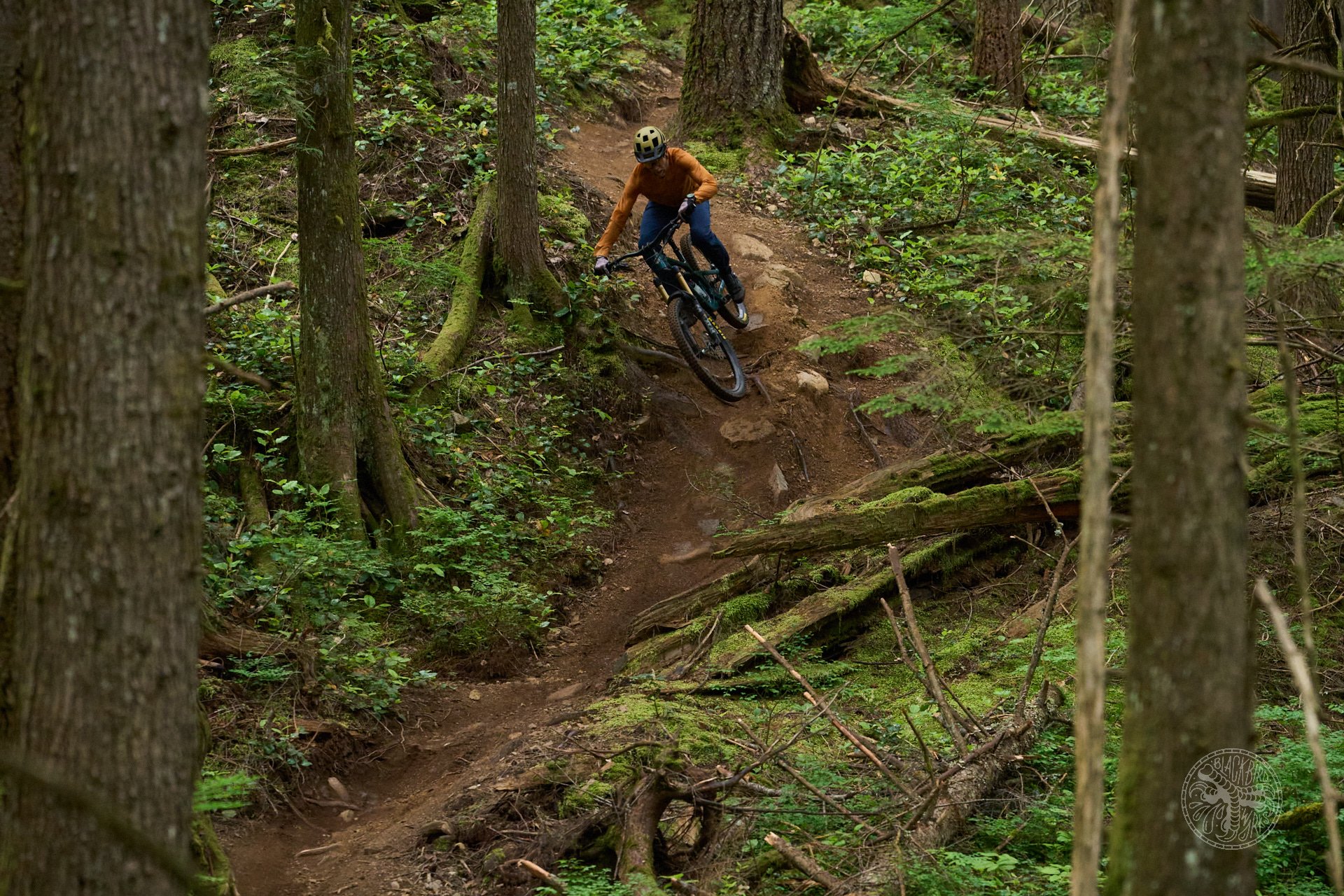 Deniz merdano cooper yeti sb165 8