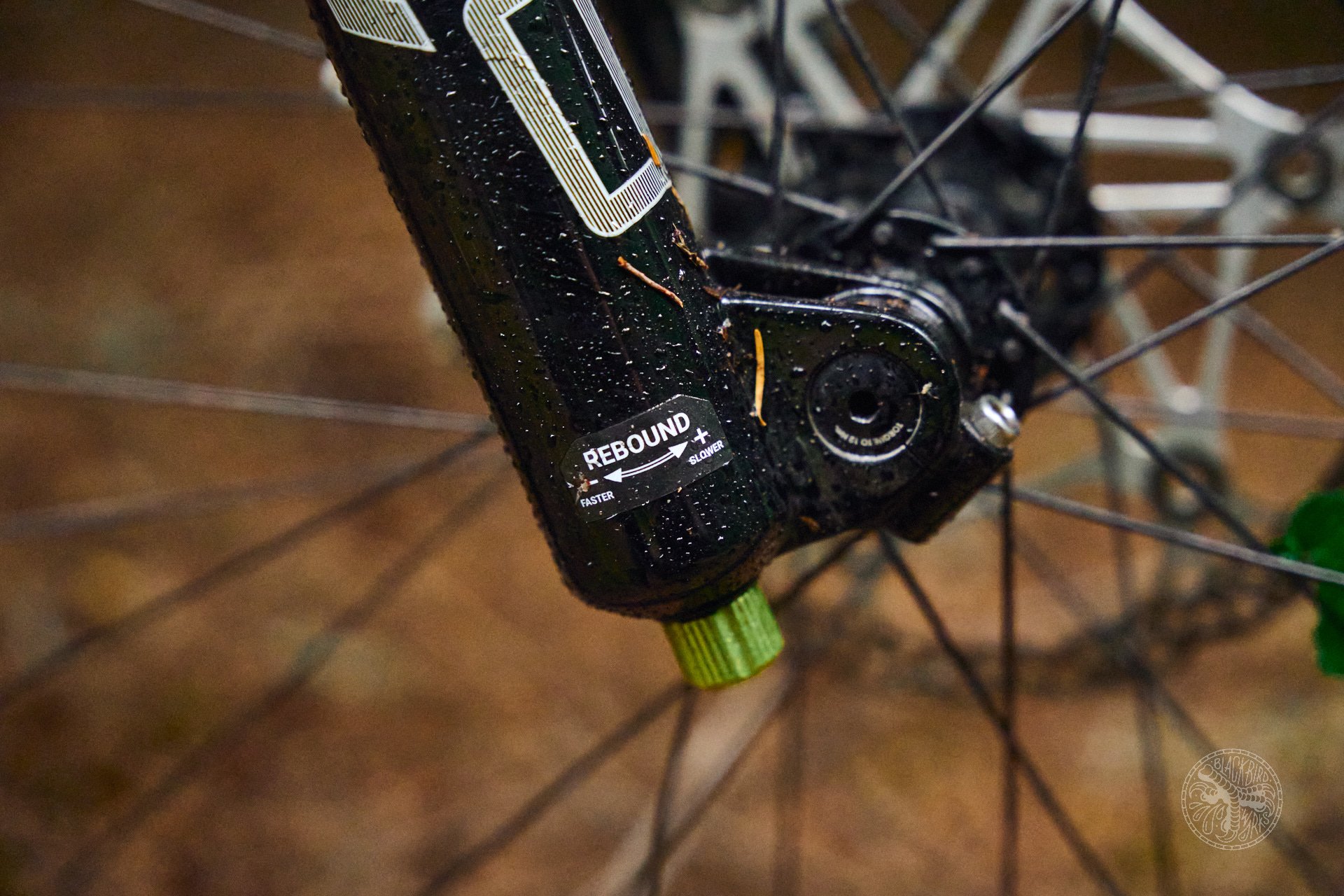 Deniz merdano graham DVO suspension 4