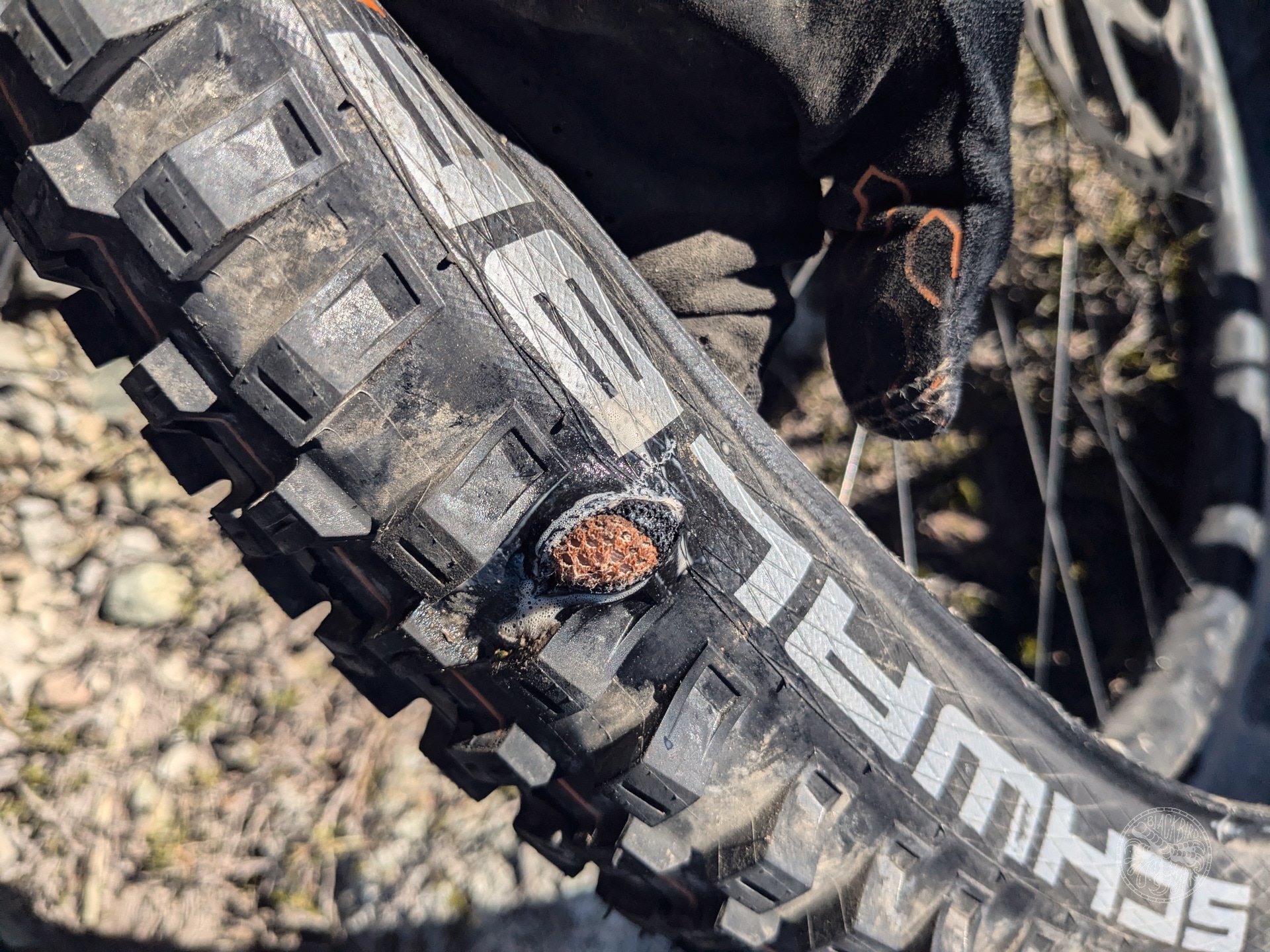 Schwalbe's Tacky Chan and Big Betty tires at work in BC