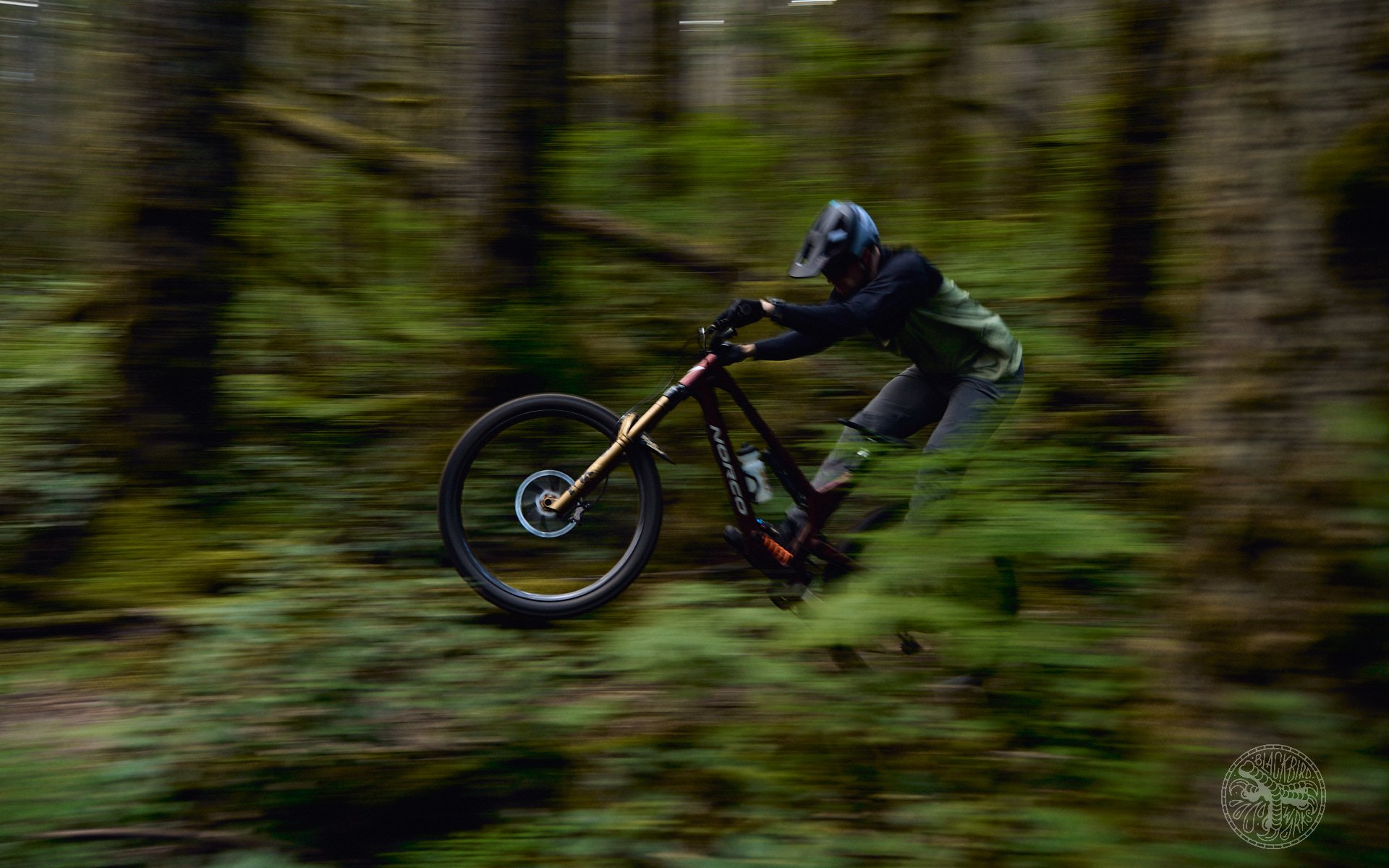 Deniz merdano tim coleman fox 38 20