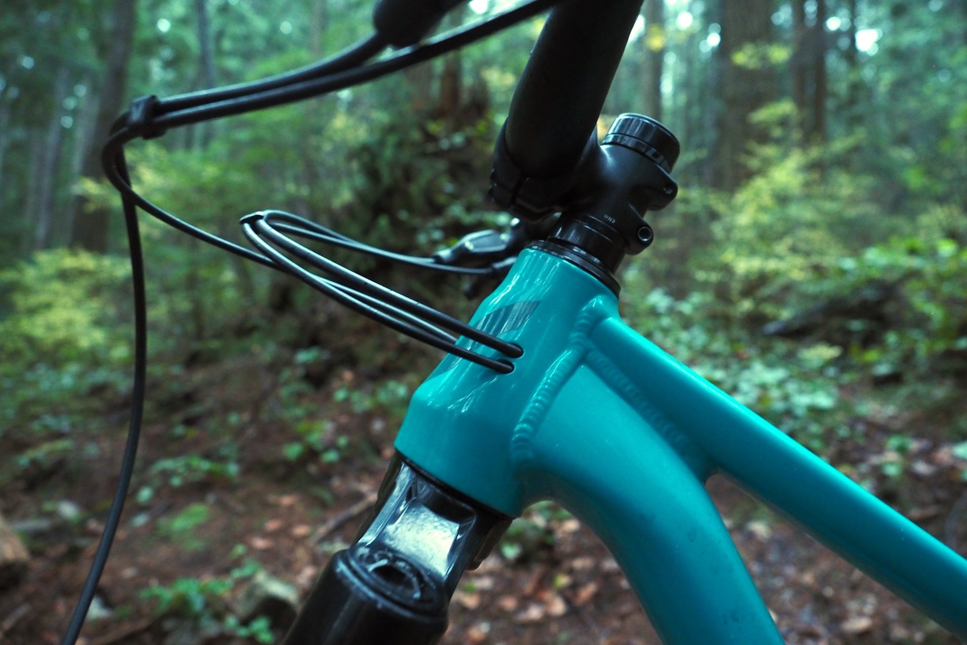 Devinci Chainsaw NSMB Andrew Major (5)