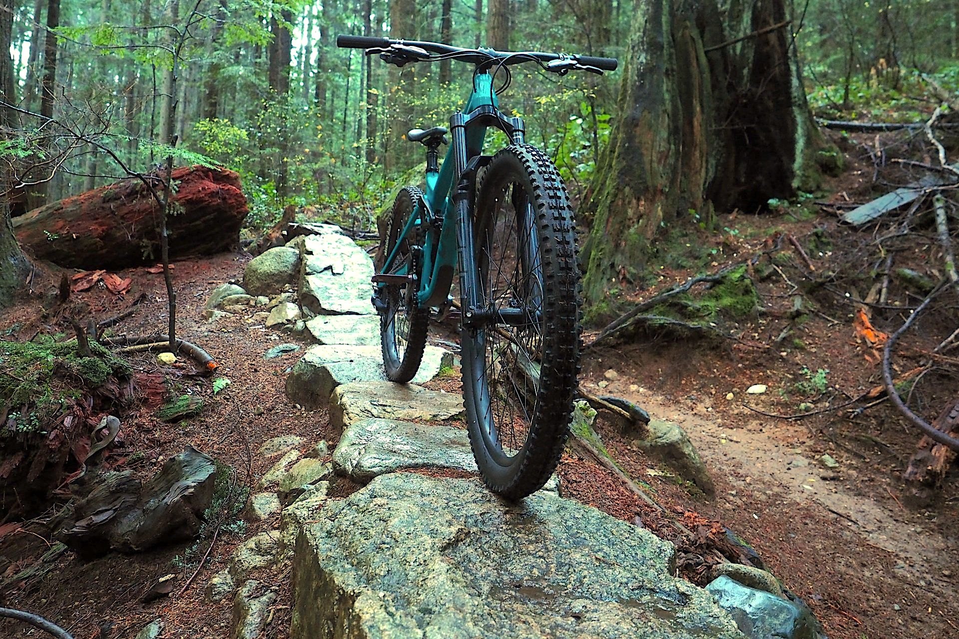 Devinci_Chainsaw_NSMB_Andrew_Major_by_Clairebar2