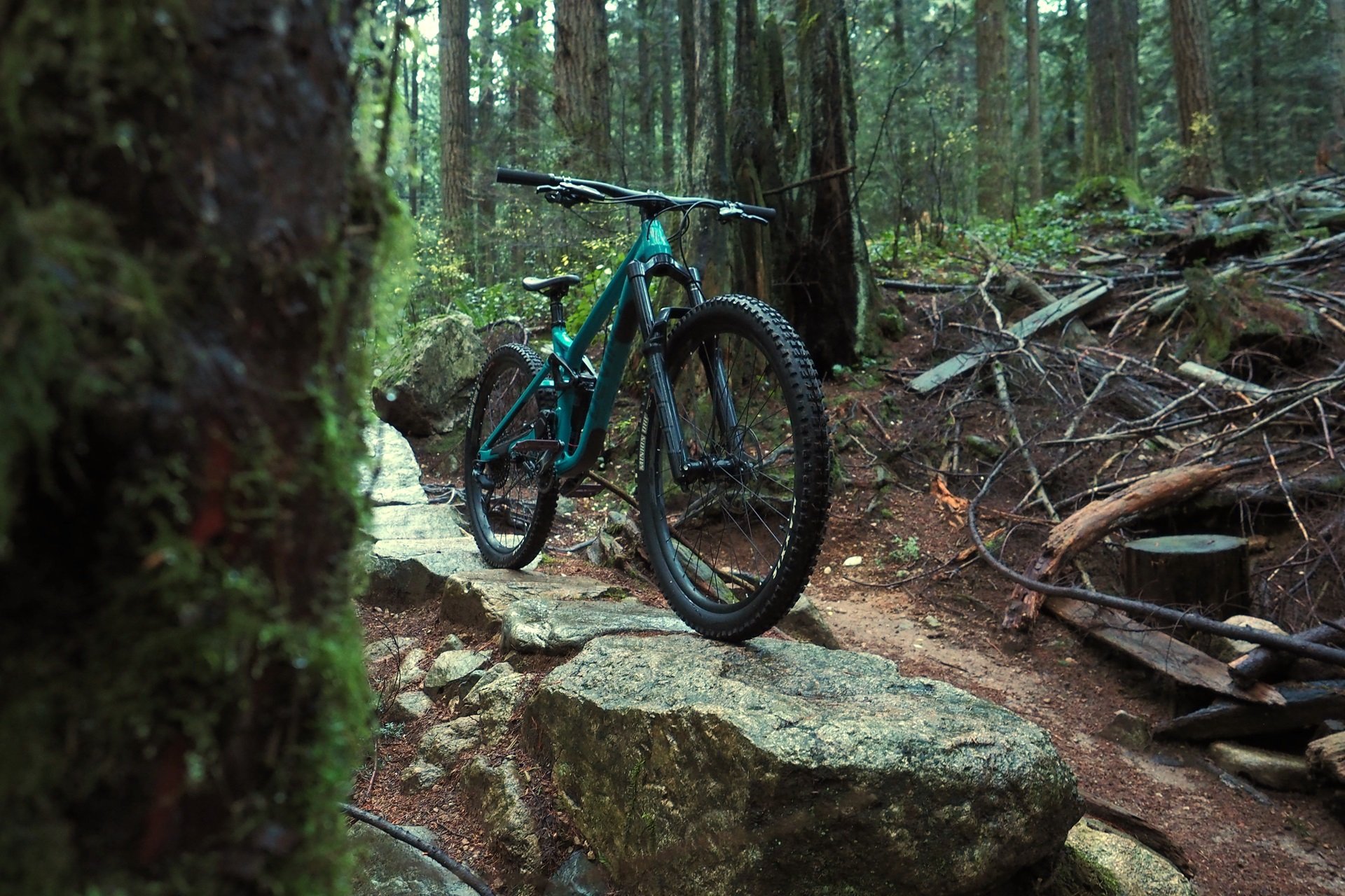 Devinci Chainsaw NSMB Andrew Major by Clairebarian (13)