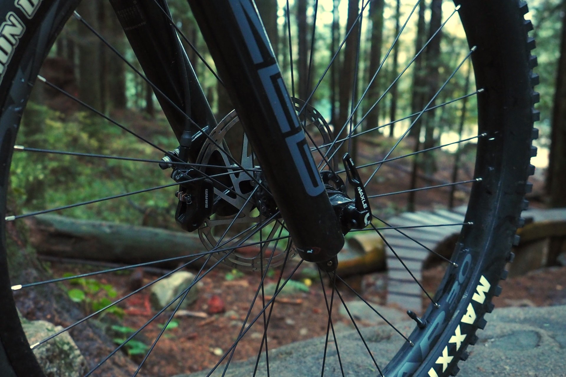 Devinci Chainsaw NSMB Andrew Major by Clairebarian (11)