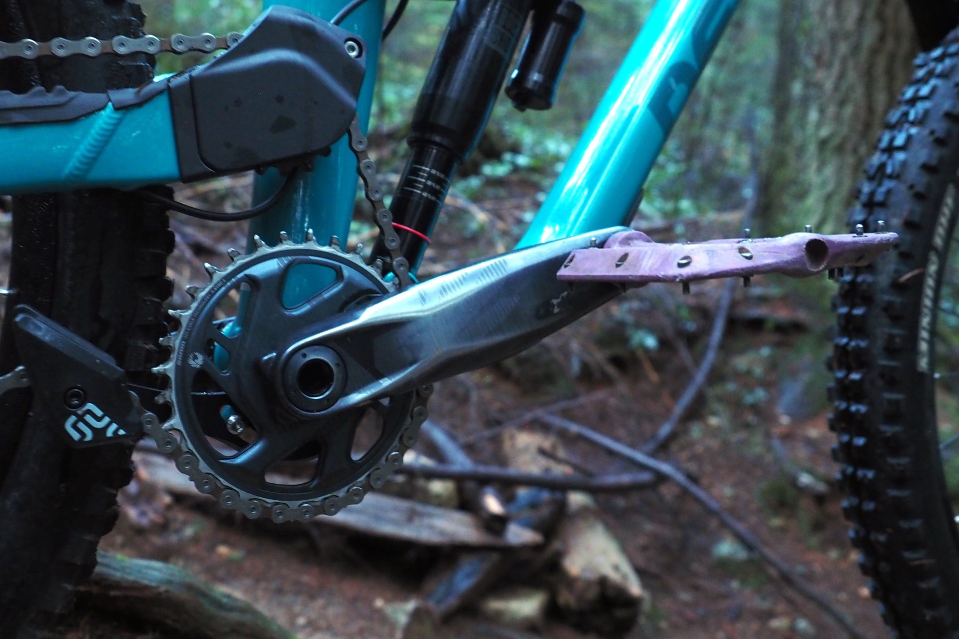 Devinci Chainsaw NSMB Andrew Major by Clairebarian (4)