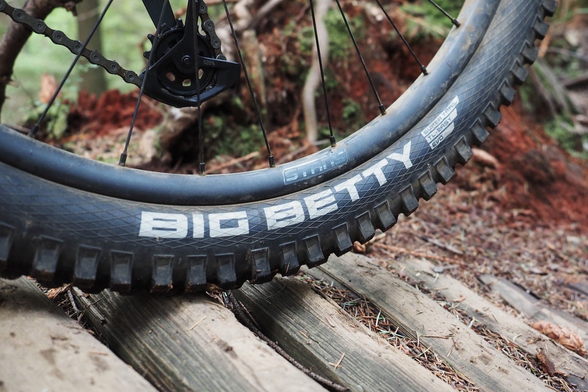 Devinci Chainsaw Stans Flow C Tires NSMB Andrew Major (1)