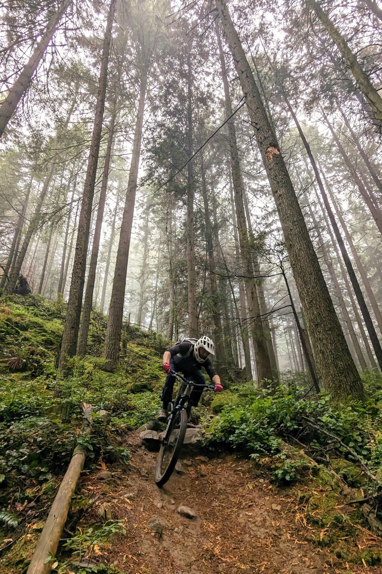 NSMB's 2019 Gift Guide for Mountain Bikers - week 1