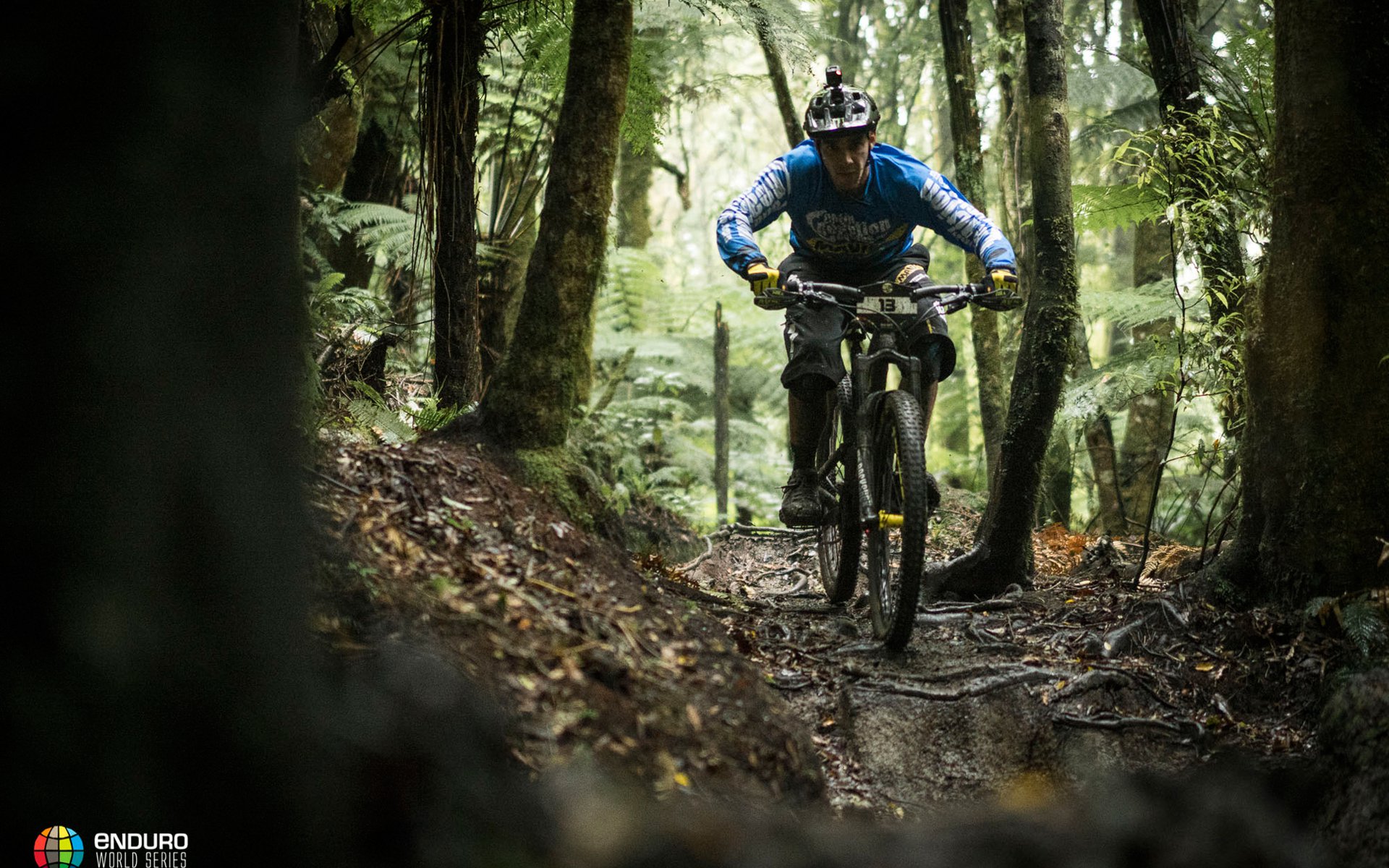 EWS Rotorua Header