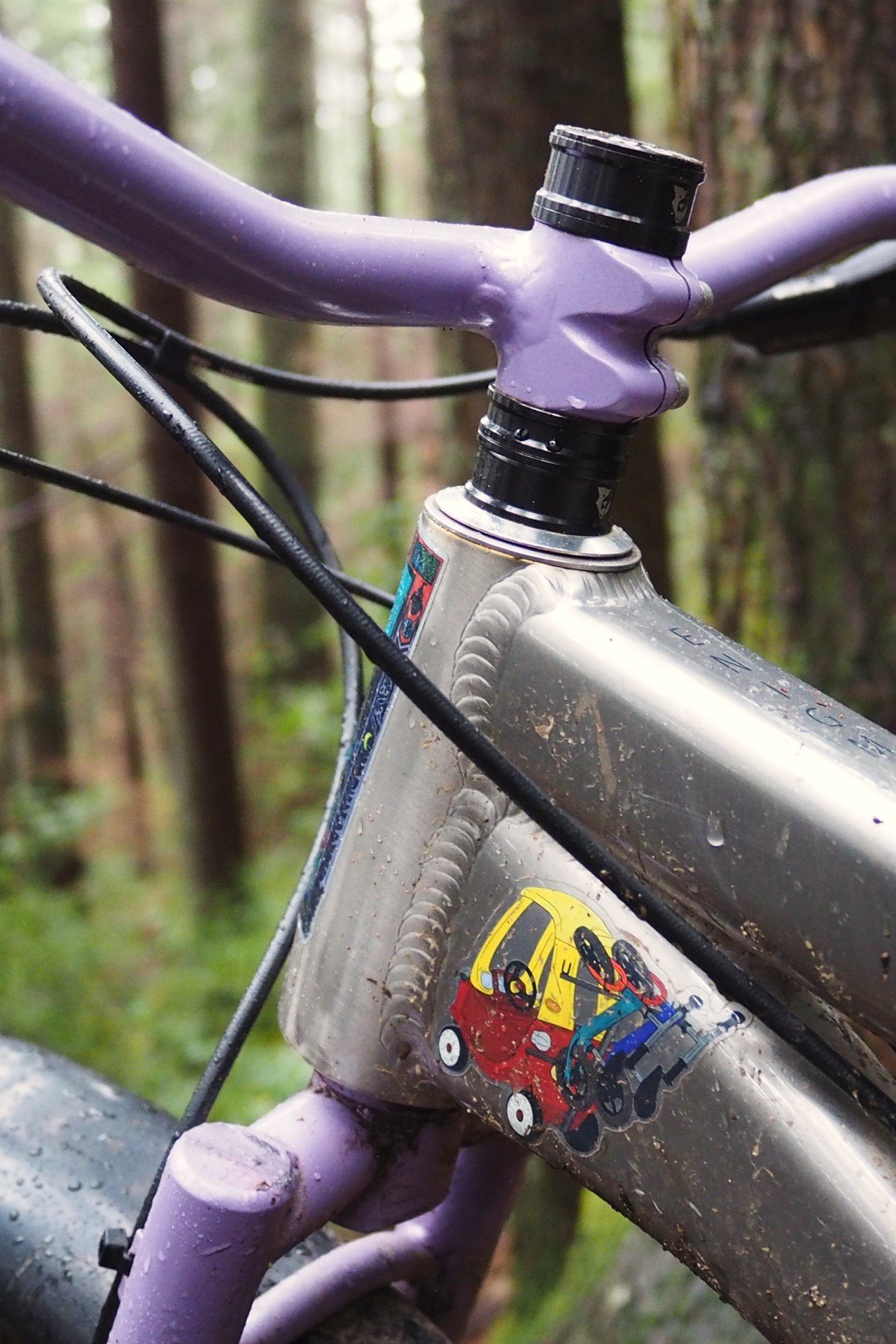 Enduro Maxhit Stainless Headset Cups NSMB Andrew Major (2)