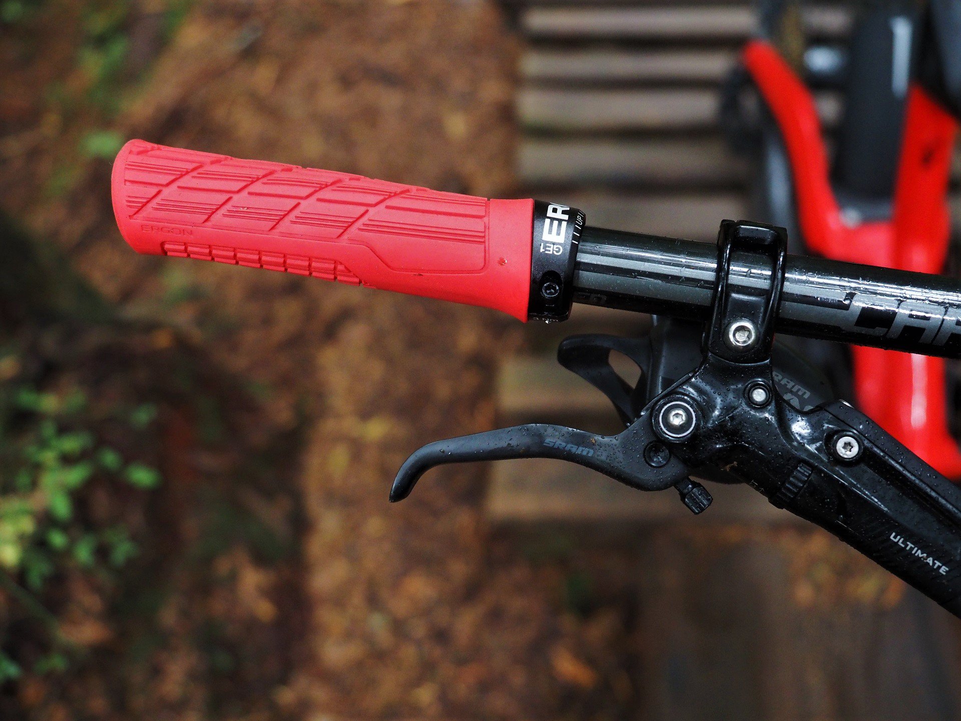 ergon lock on grips