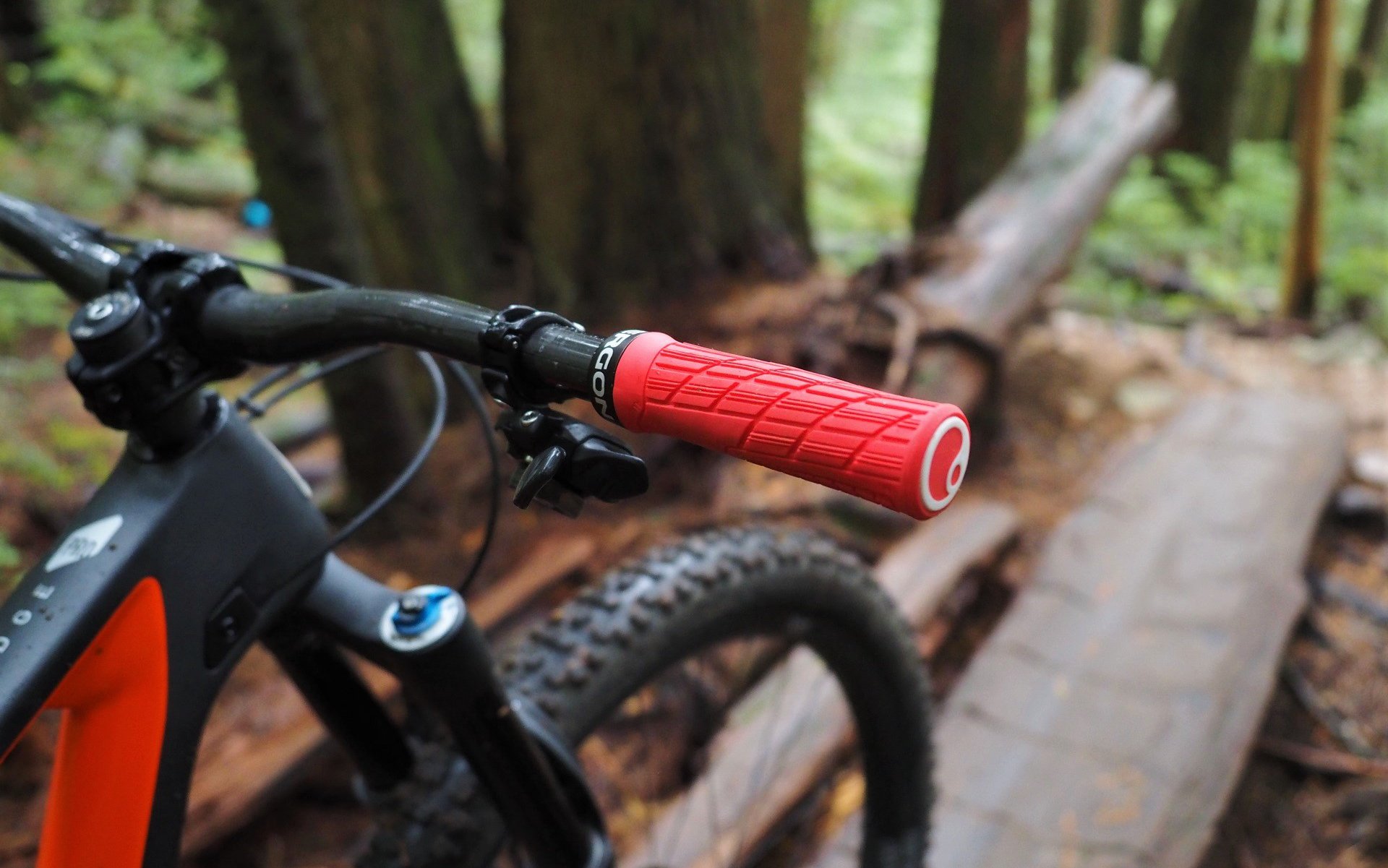 ergon mountain bike grips