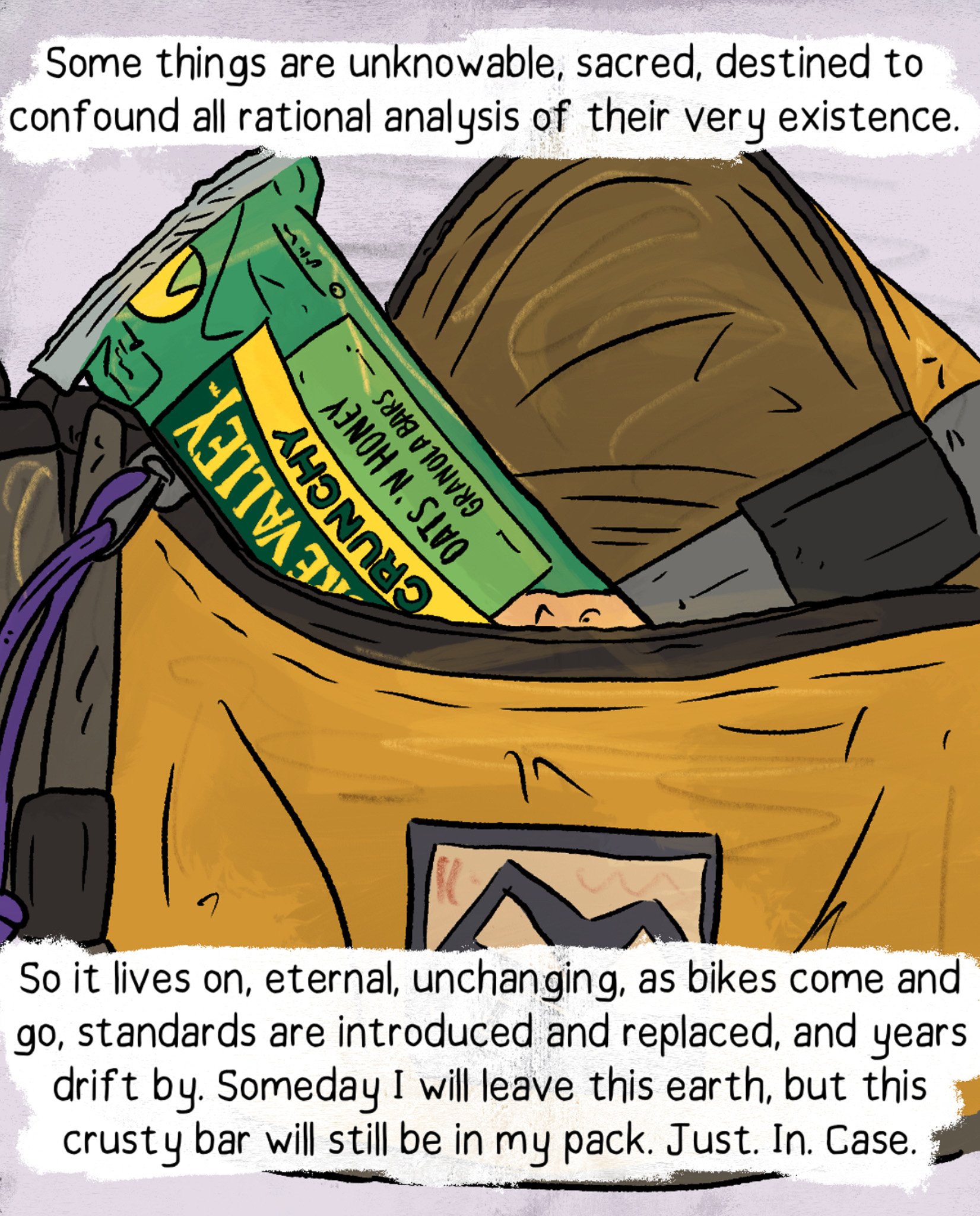 granola bar in a pack