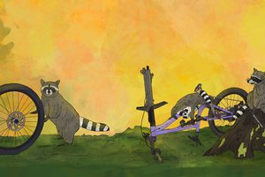 Raccoons taking apart a bike