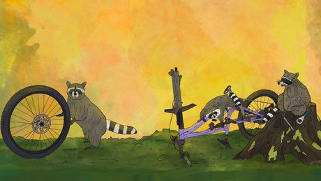 Raccoons taking apart a bike