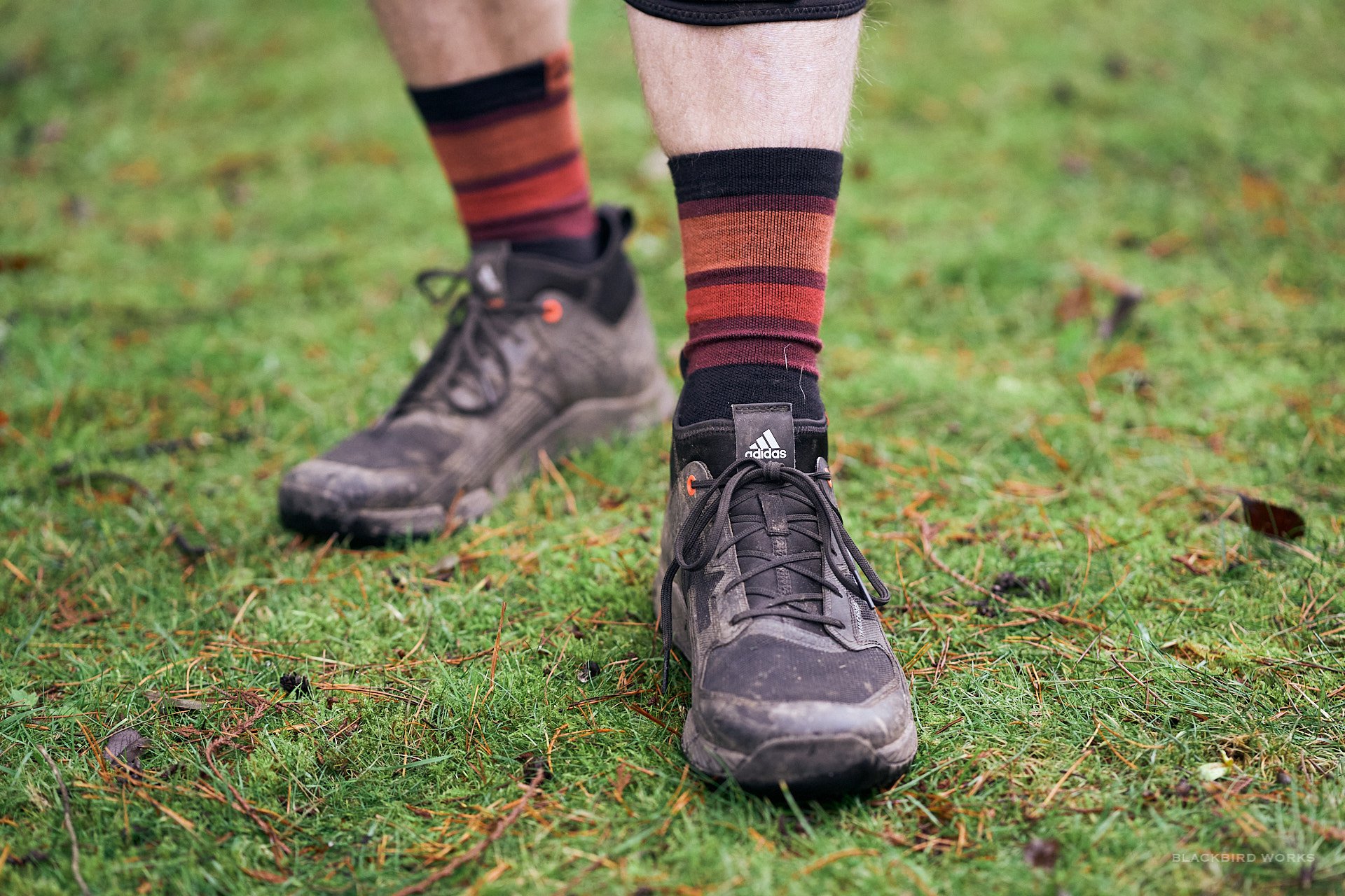 adidas trailcross shoes