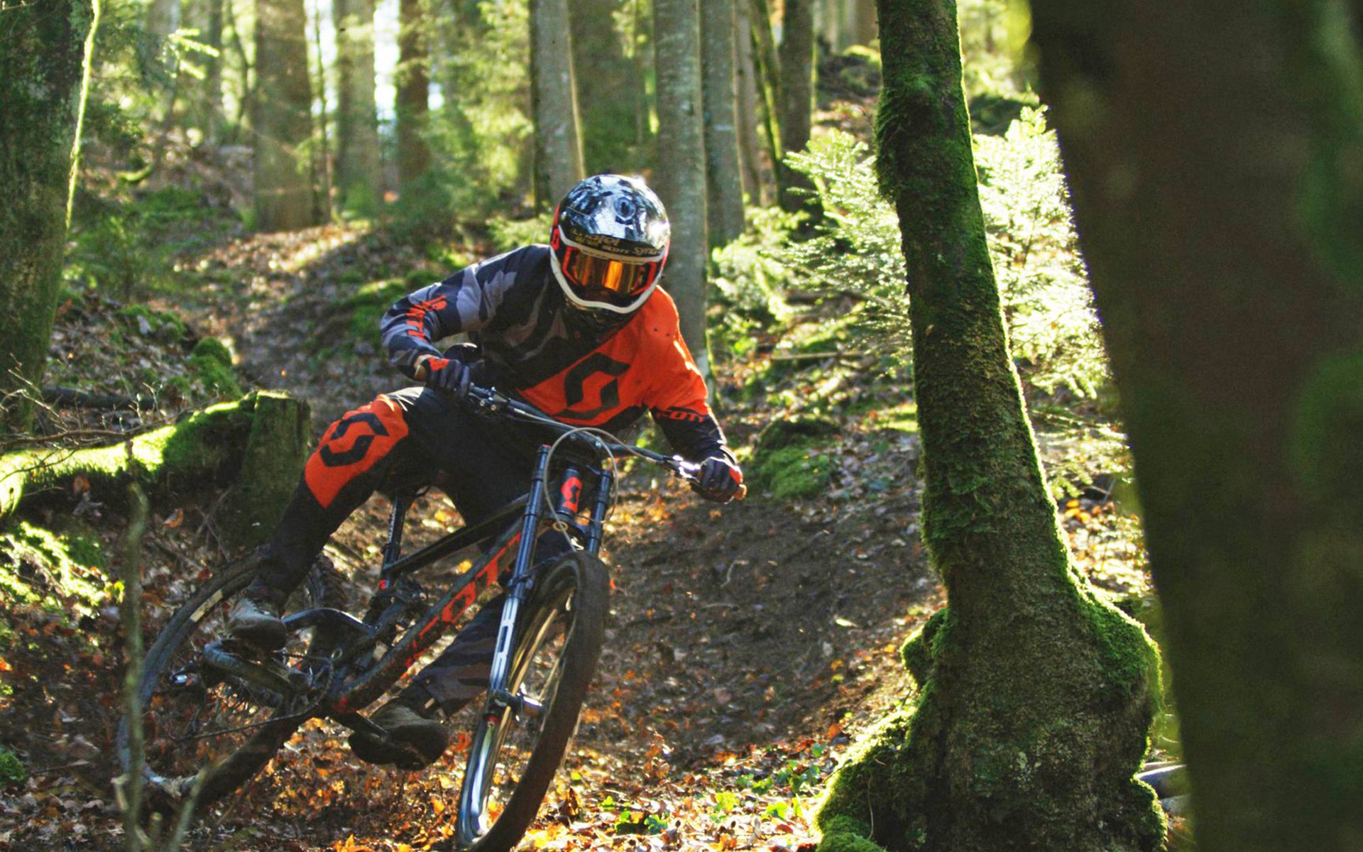 Freeride Dead Header