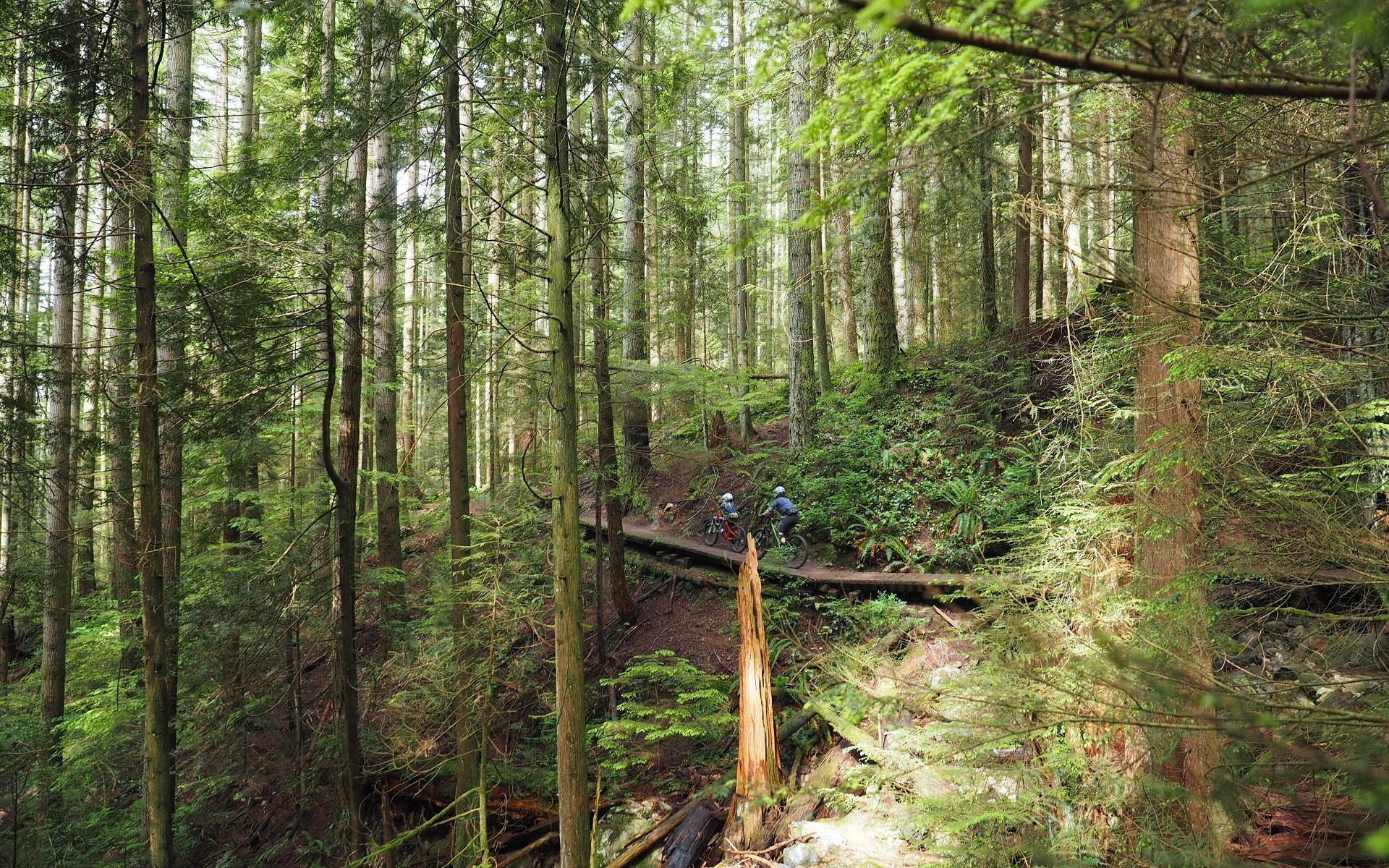 Fromme wide open NSMB Andrew Major