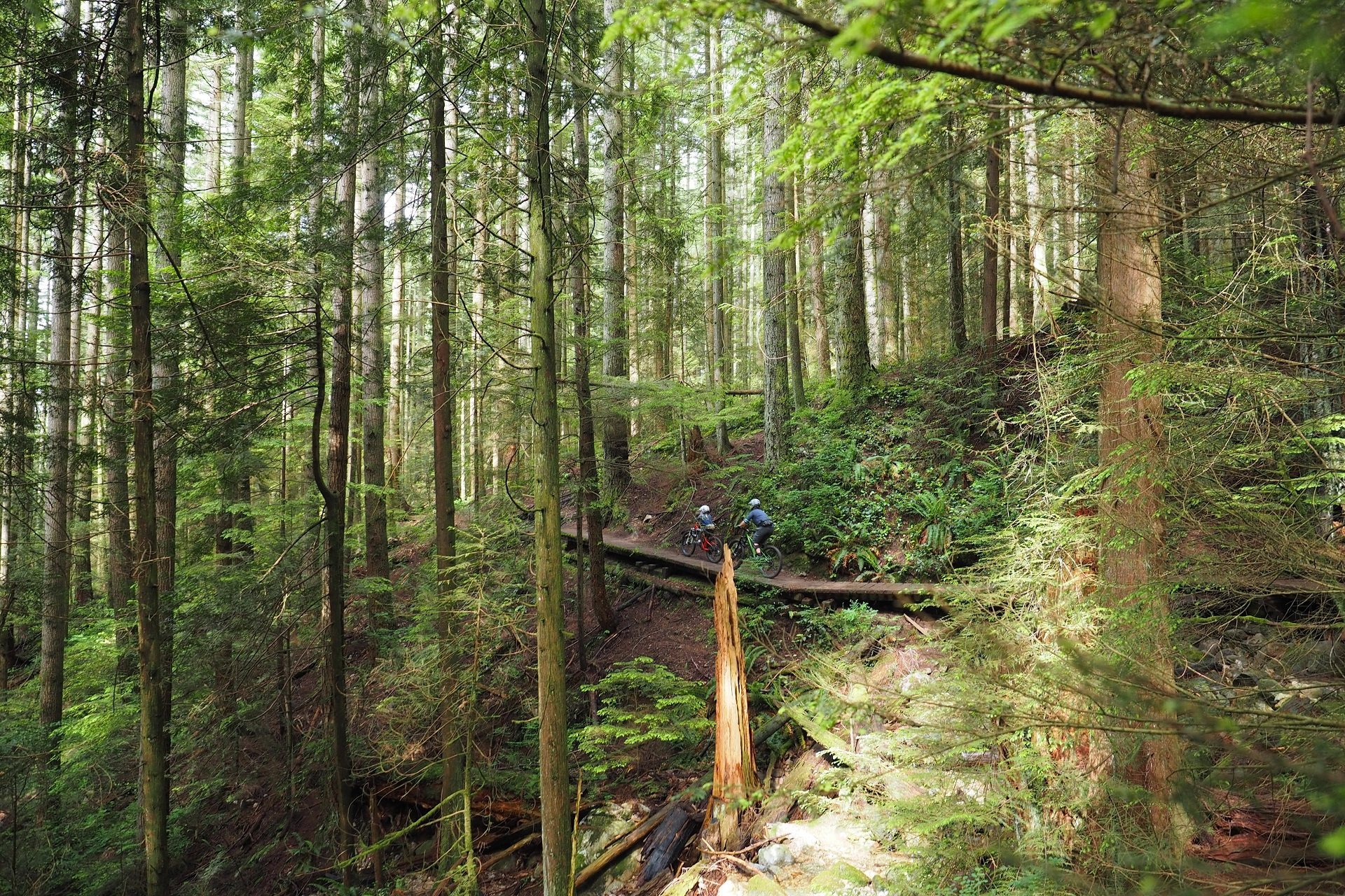 Fromme wide open NSMB Andrew Major