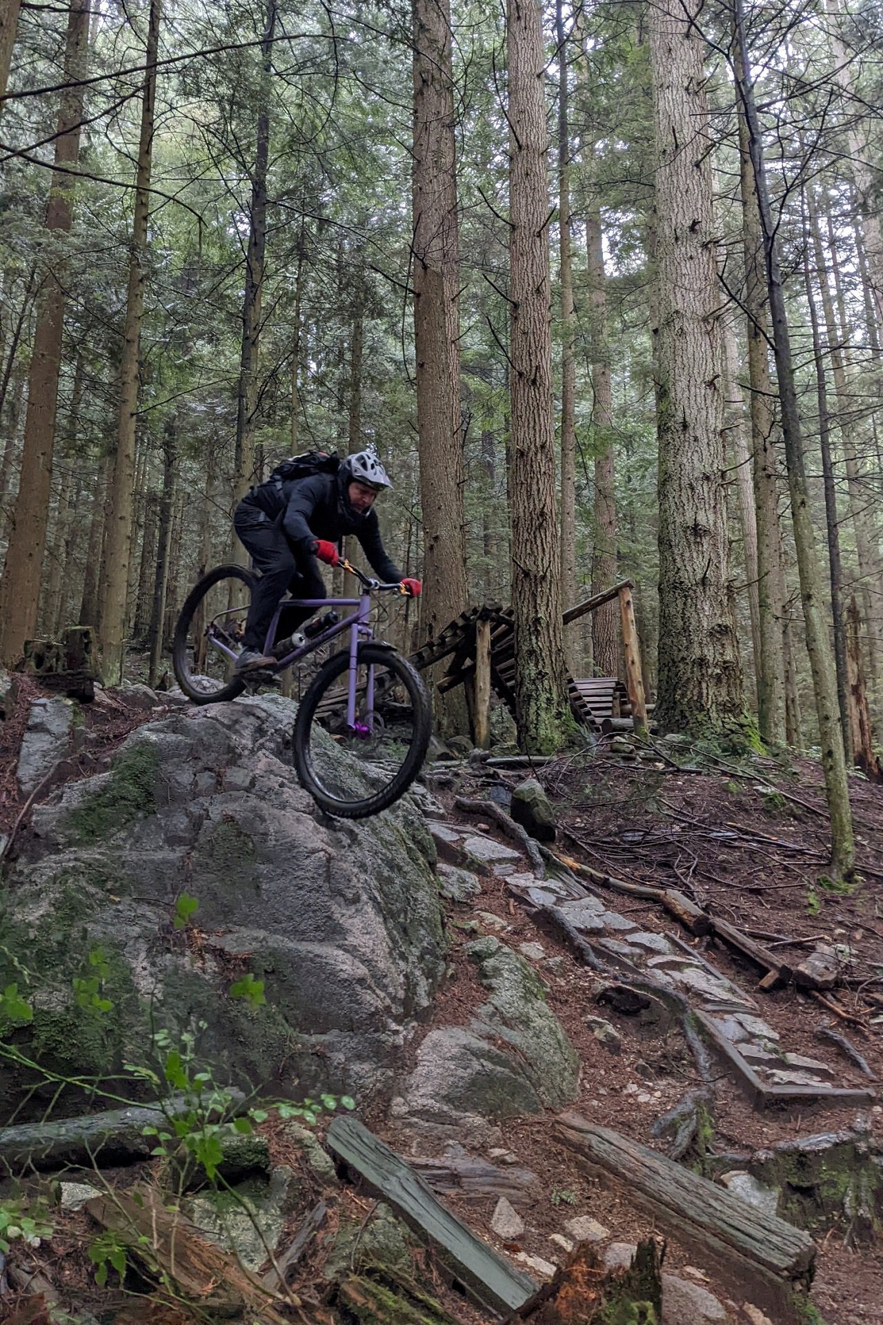 Full Face Helmets Chin Bar NSMB AndrewM (8).jpg