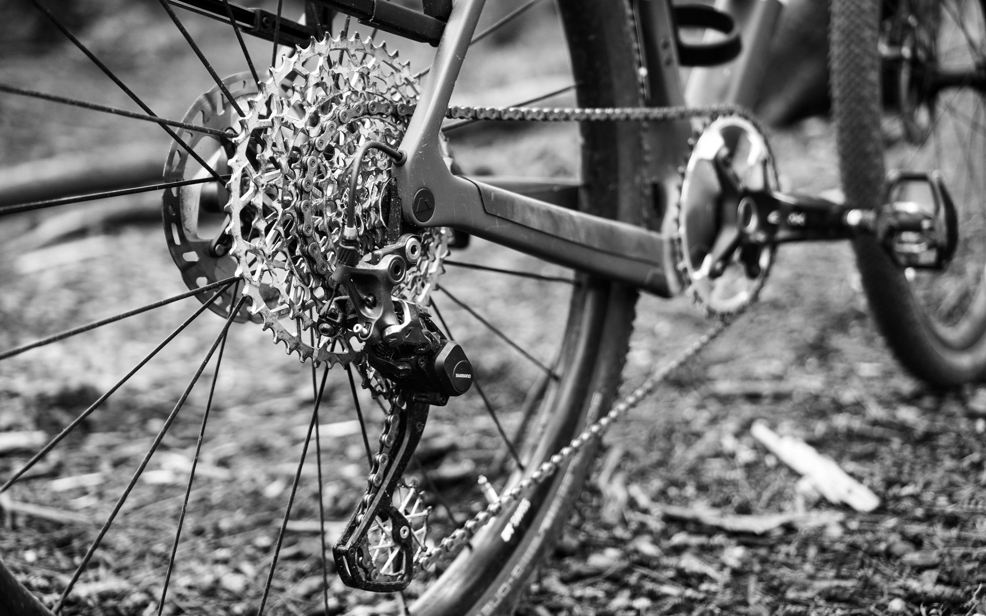 11 speed derailleur store 12 speed cassette