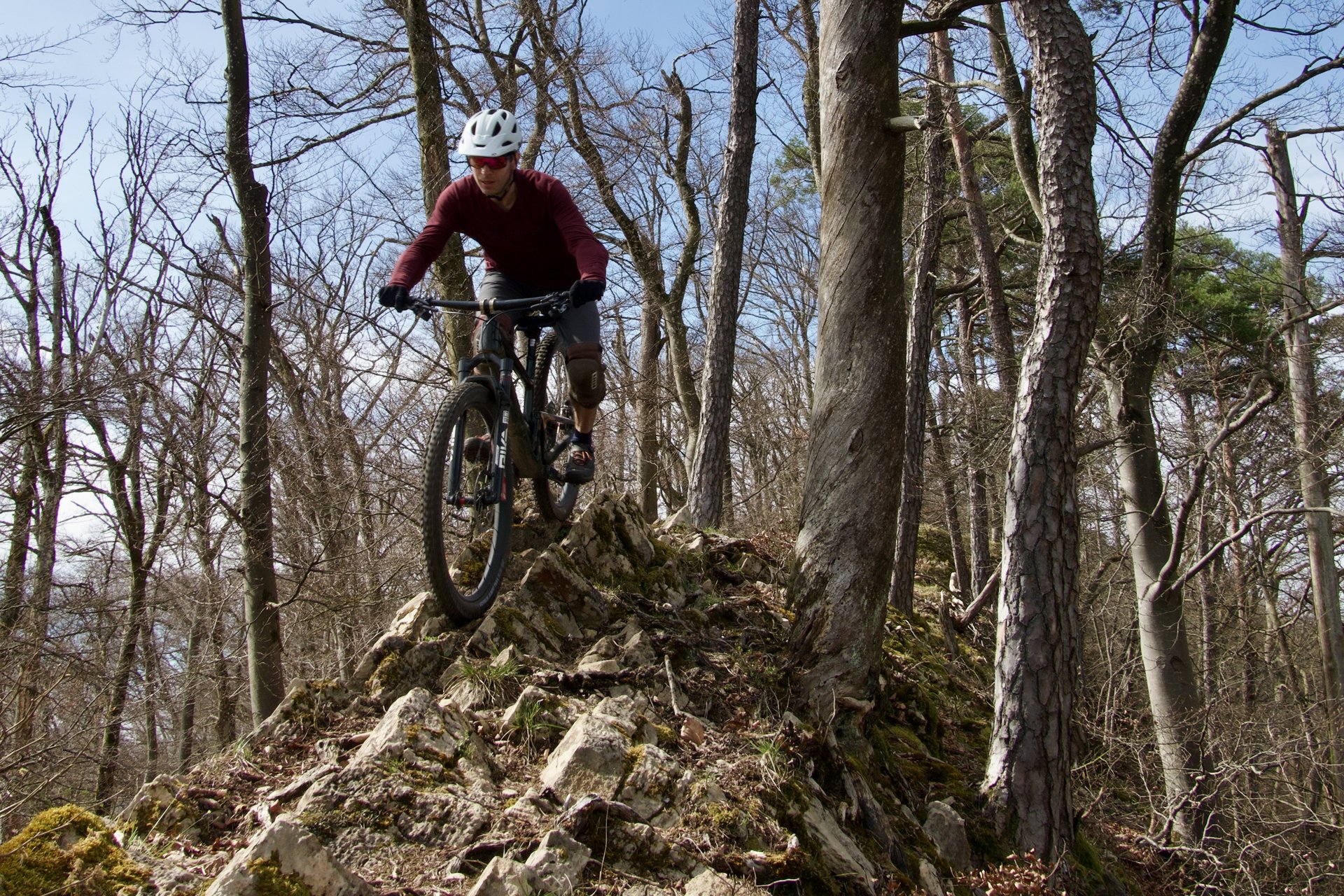 Get a Grip Maxxis vs Schwalbe 17
