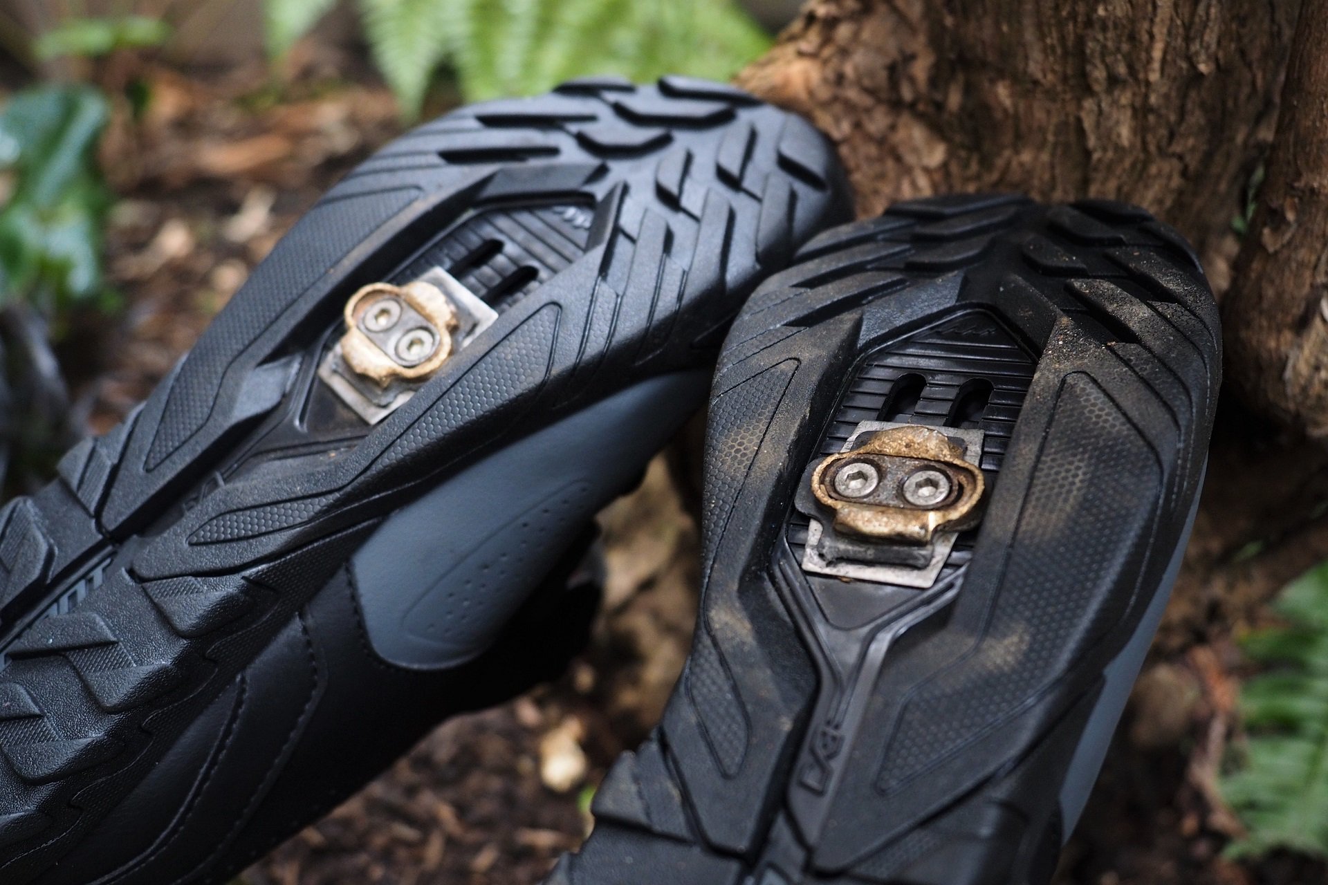 Giant Line Shoes NSMB AndrewM (1).JPG